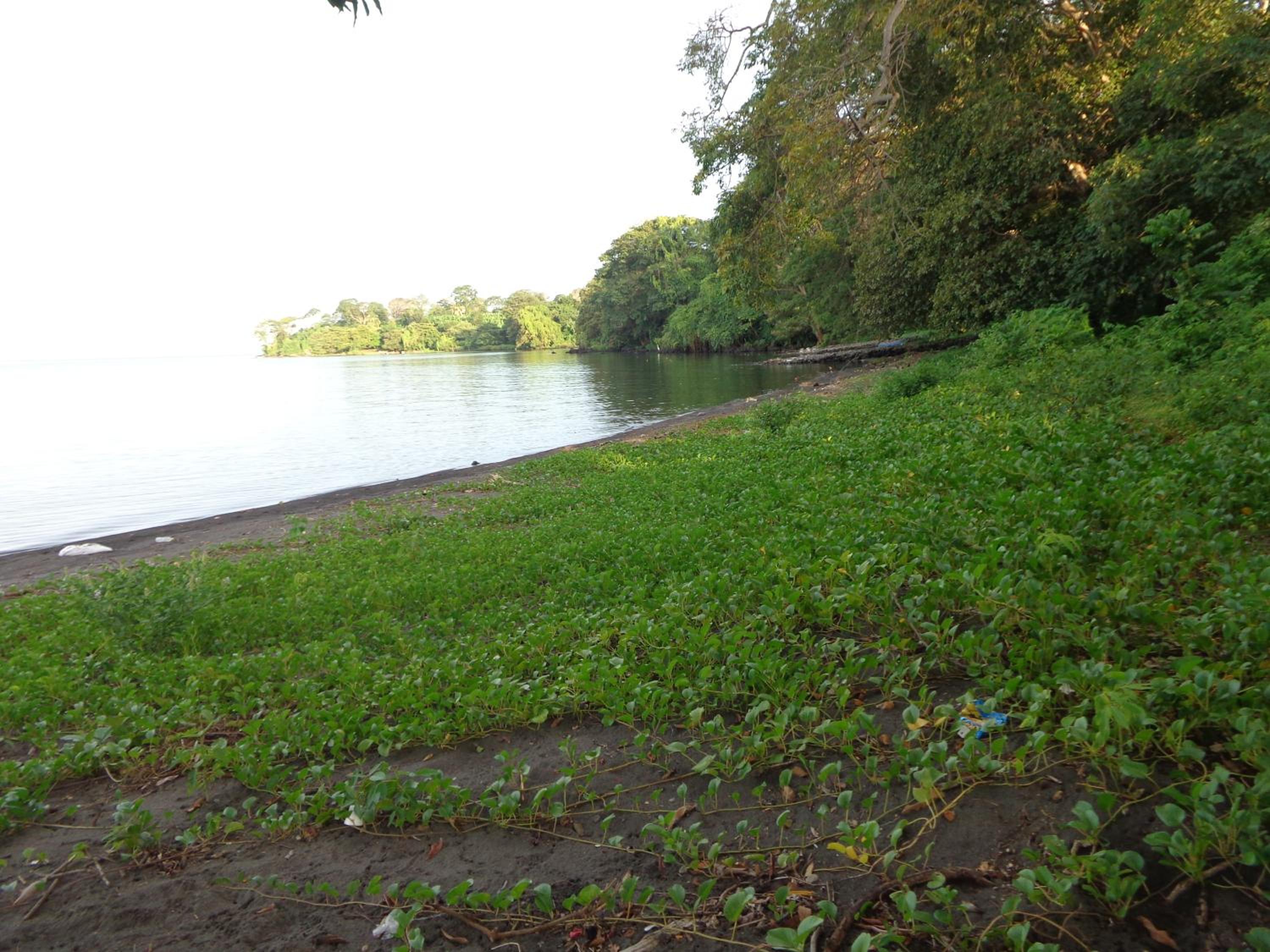 Photo 31
