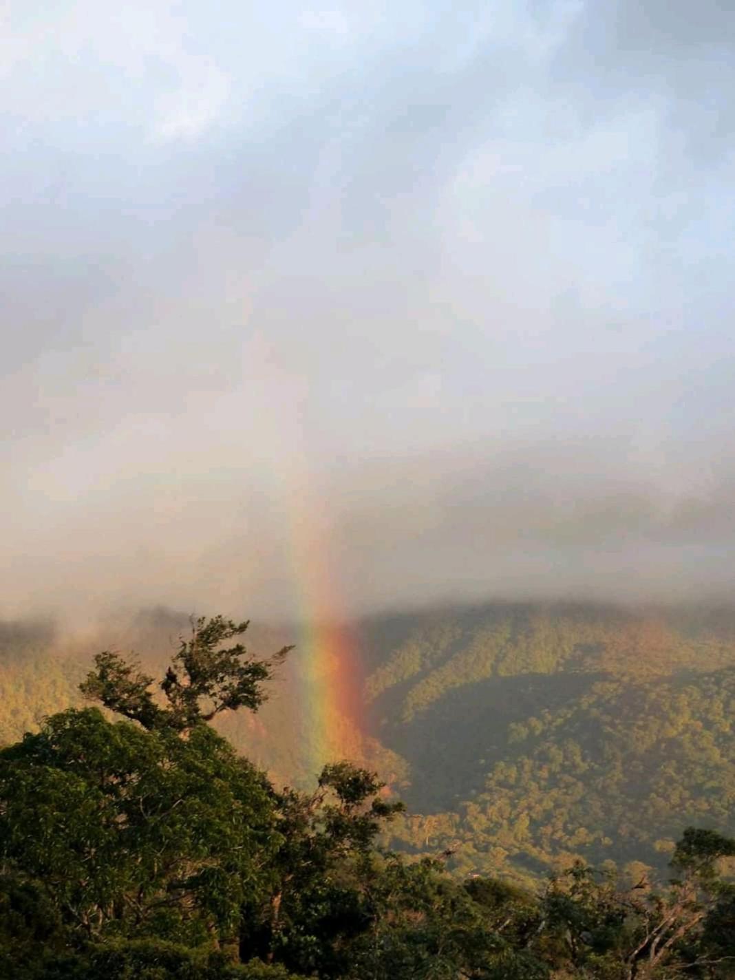 Monteverde Romantic Cabañas 5minutes mtv park
