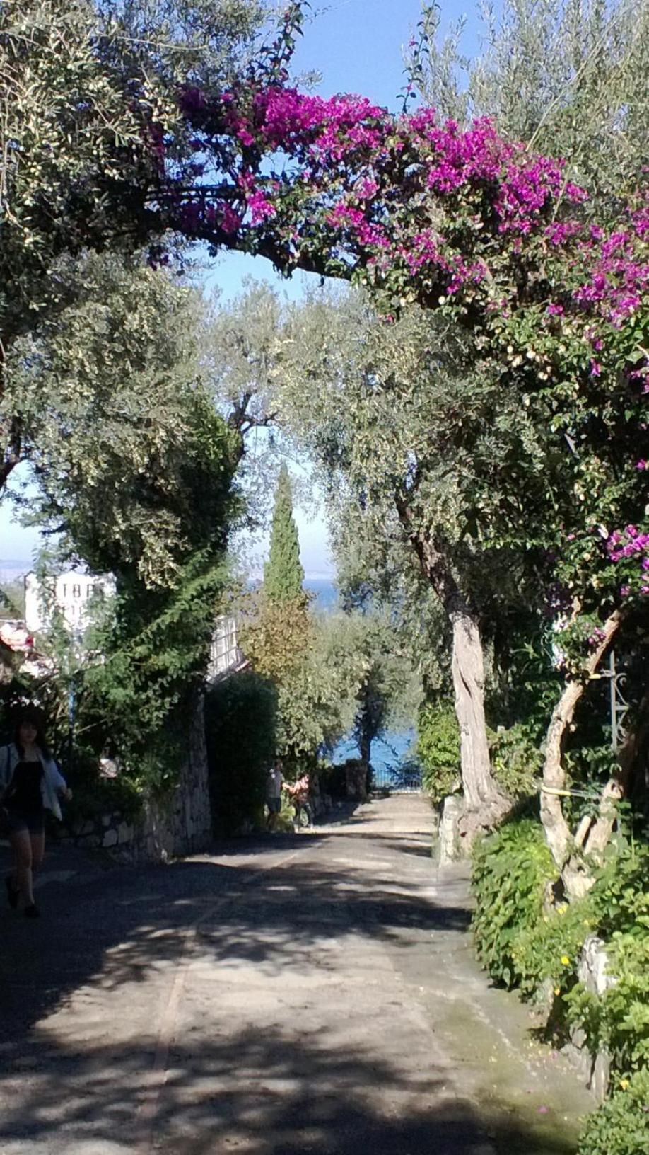 Camping Nube D'Argento view 4