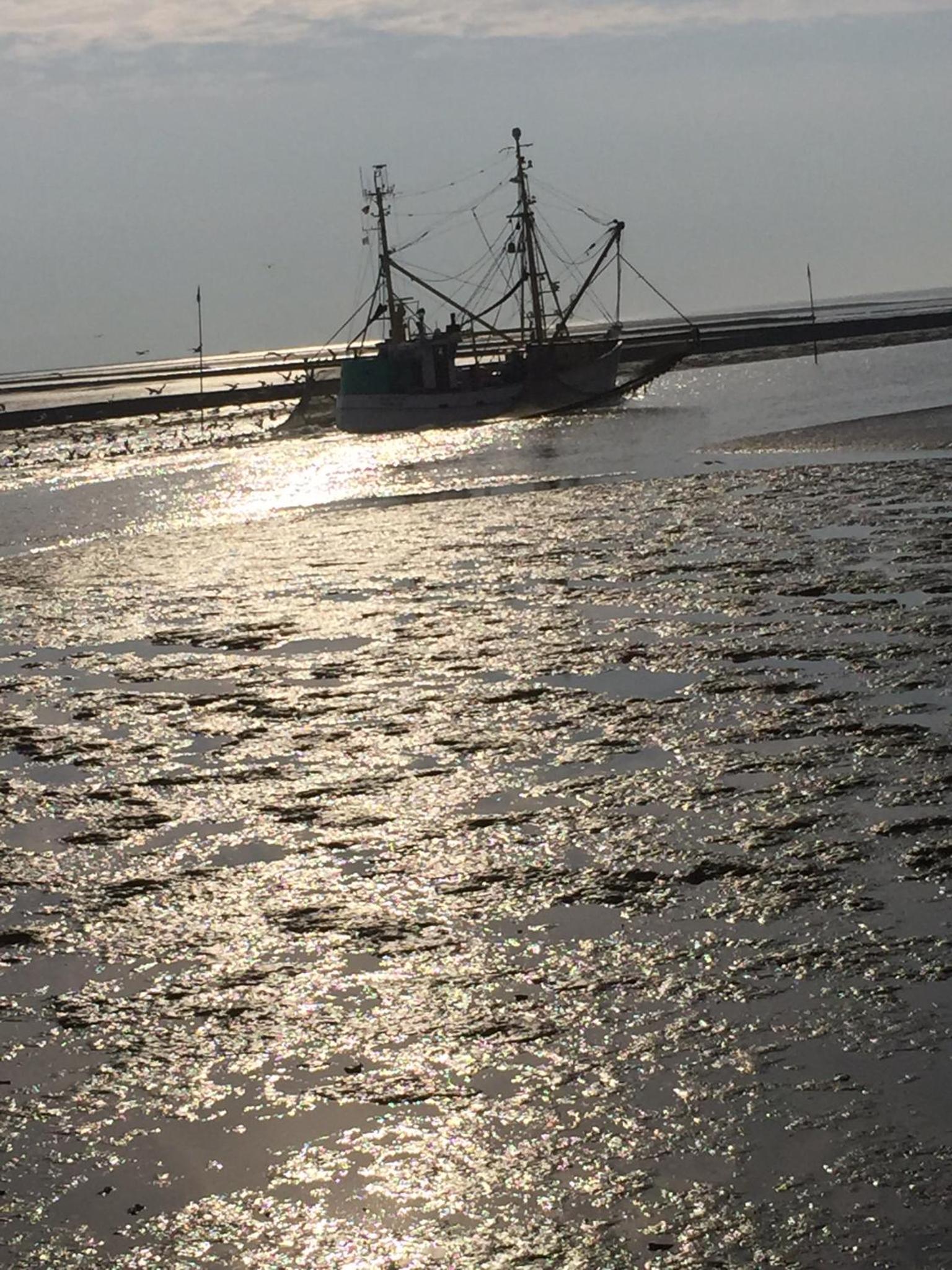 Nordseeperle Husum