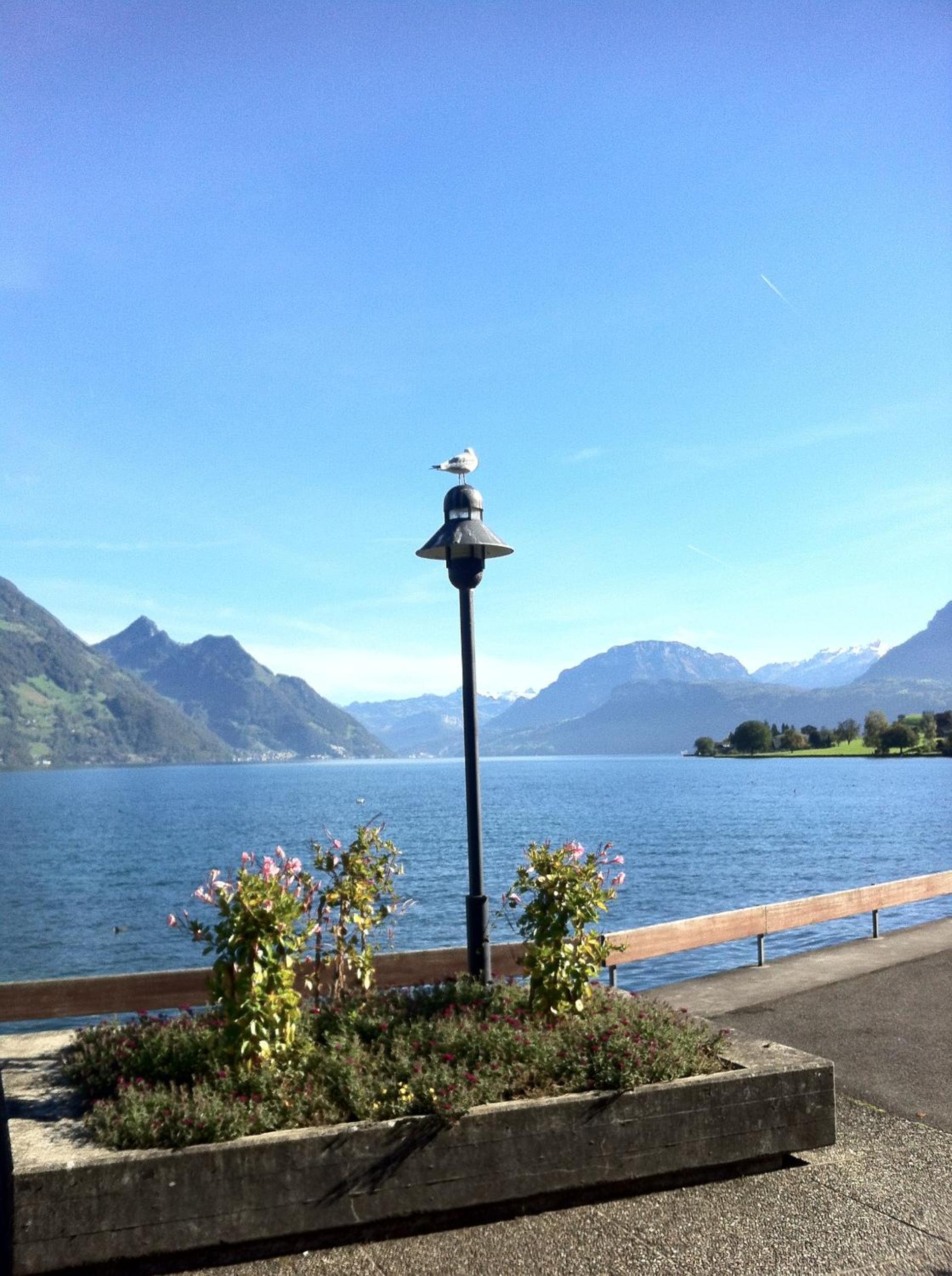 Rigiblick am See