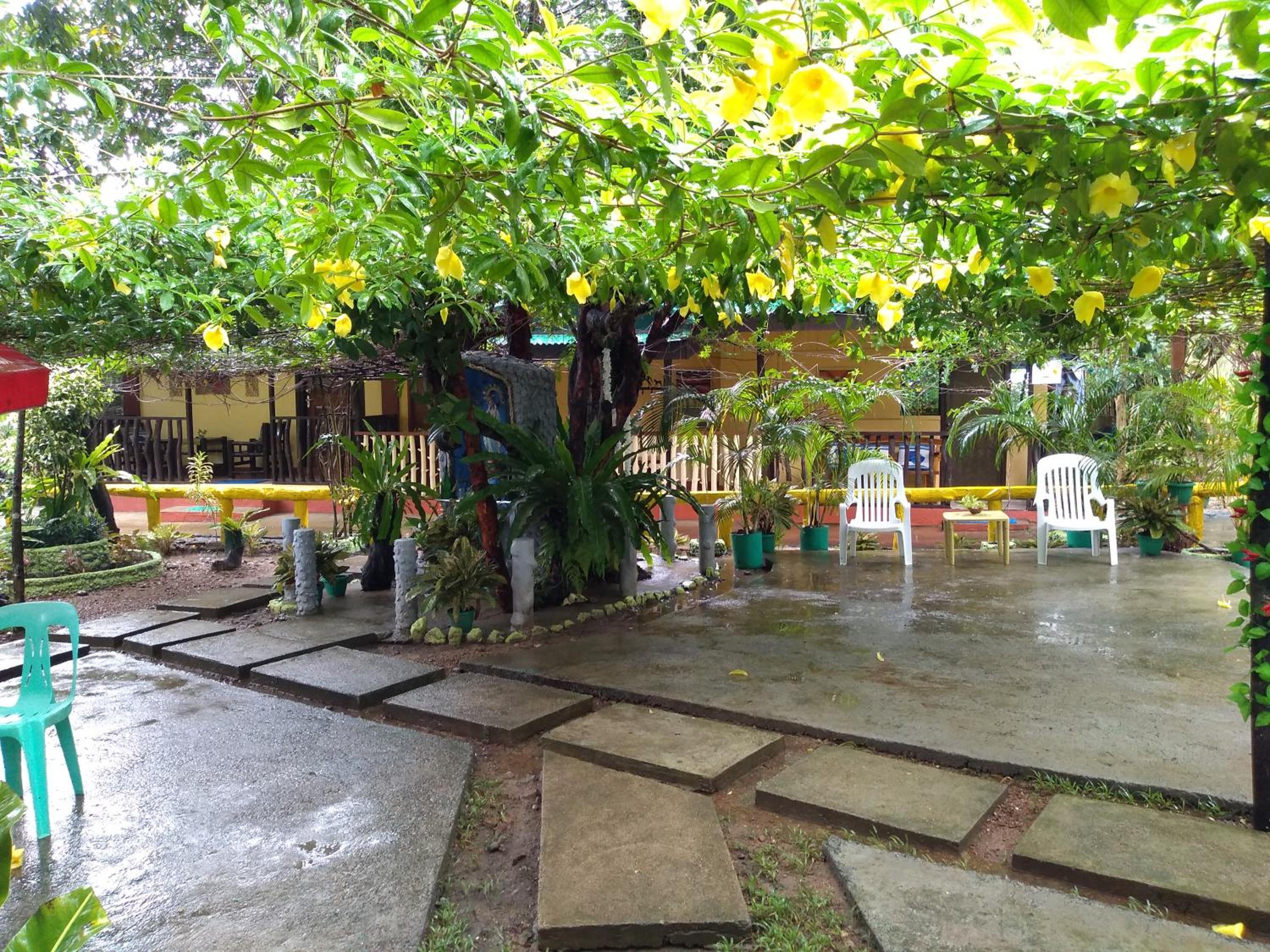 Photo 14