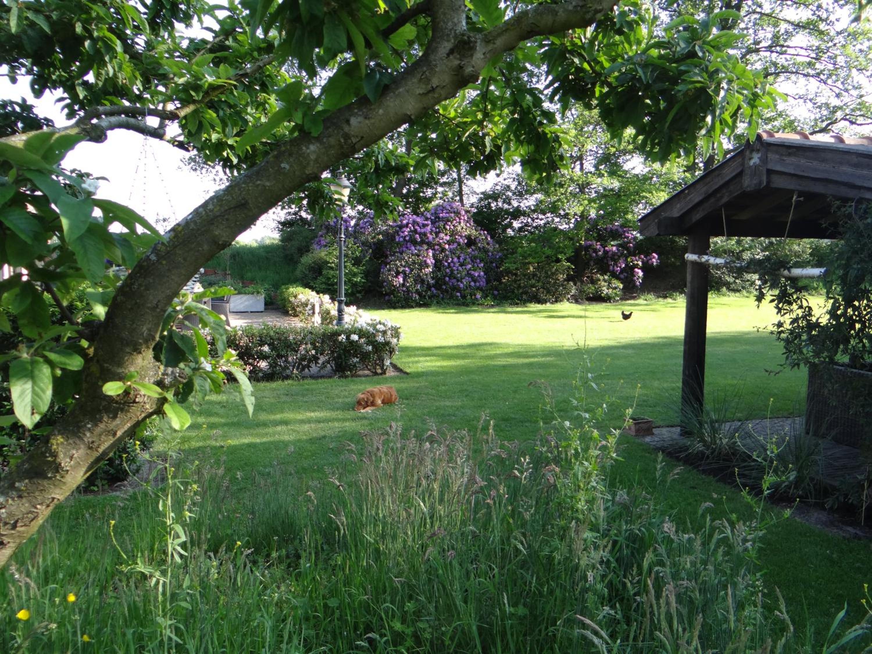 Photo 27
