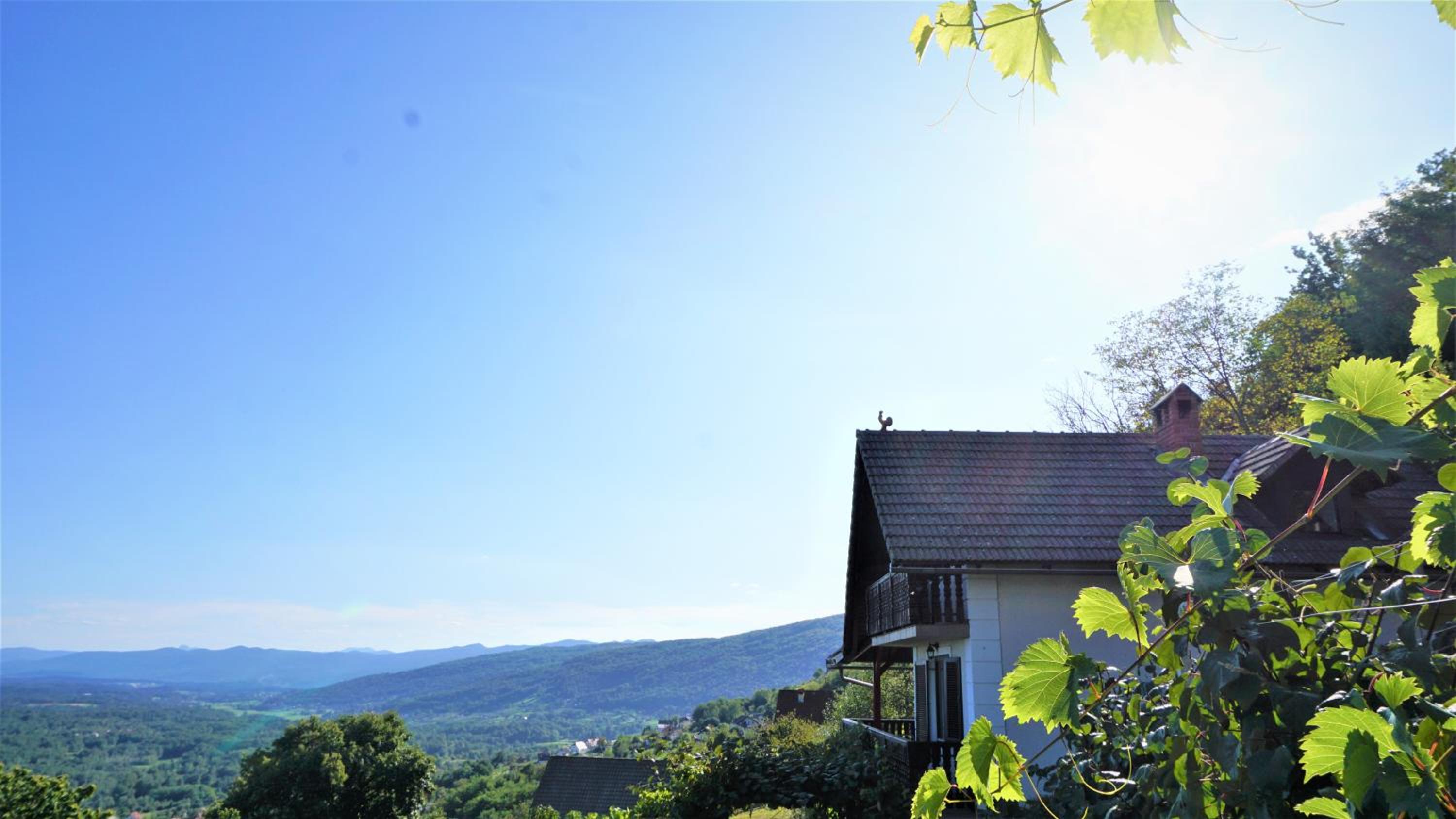 Vineyard Cottage Zajc view 4