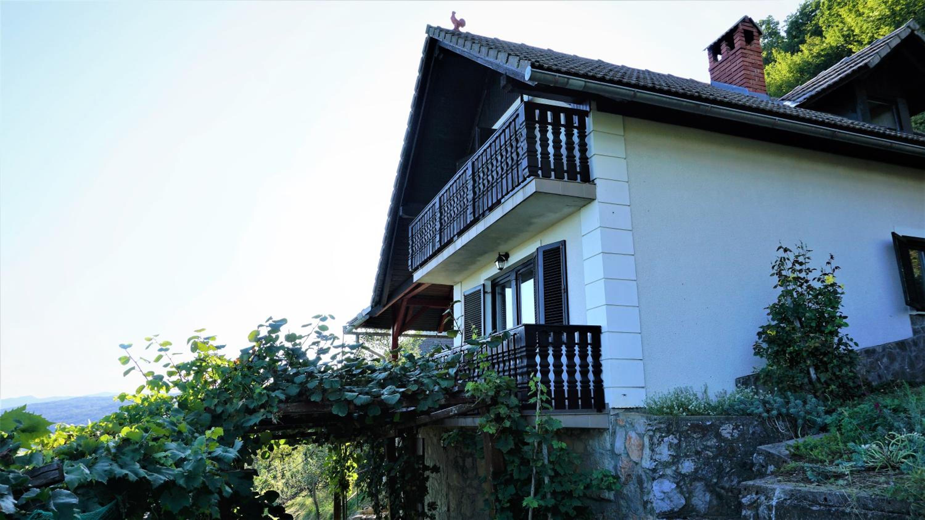 Vineyard Cottage Zajc view 5