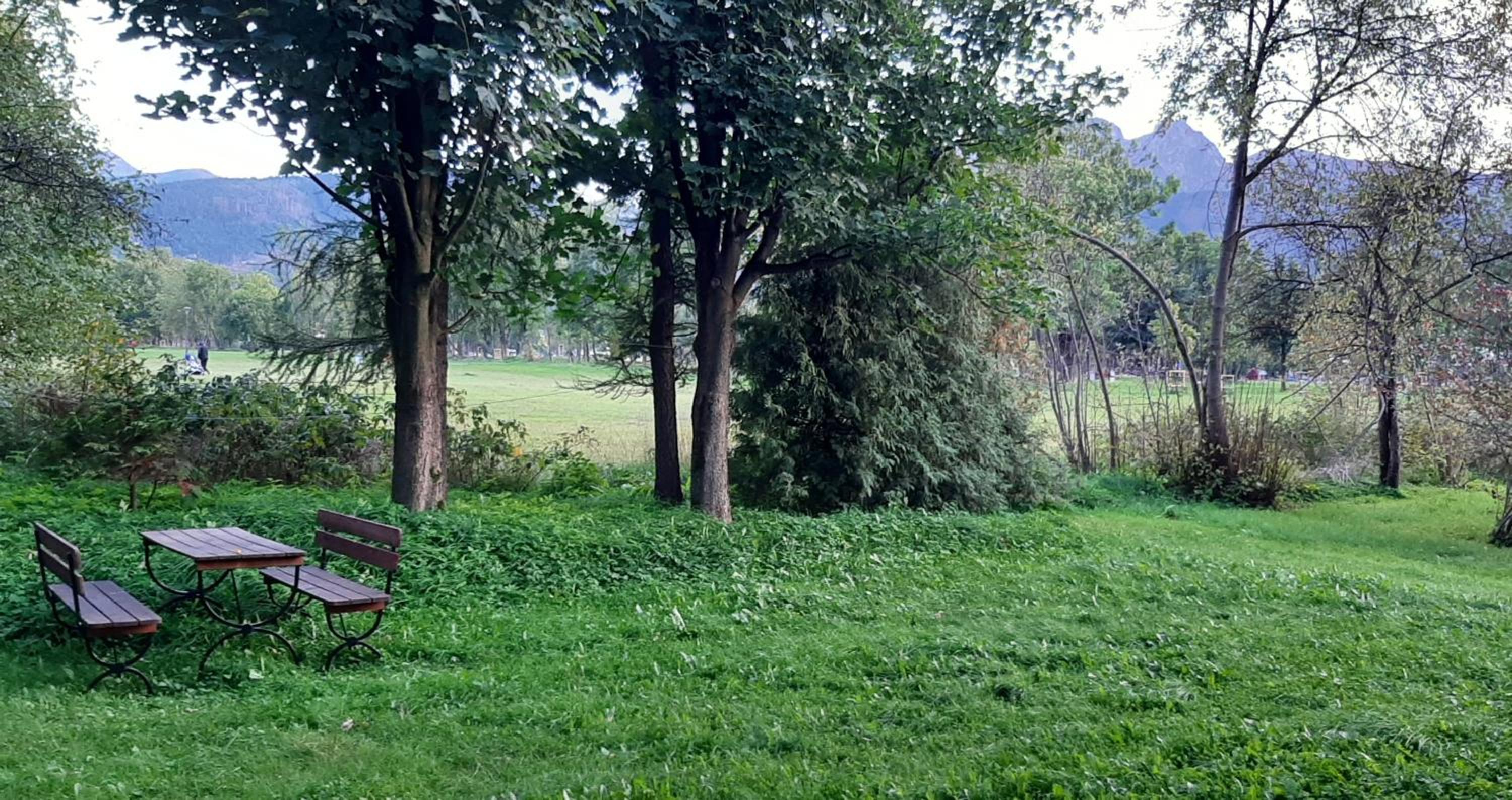 Photo 29