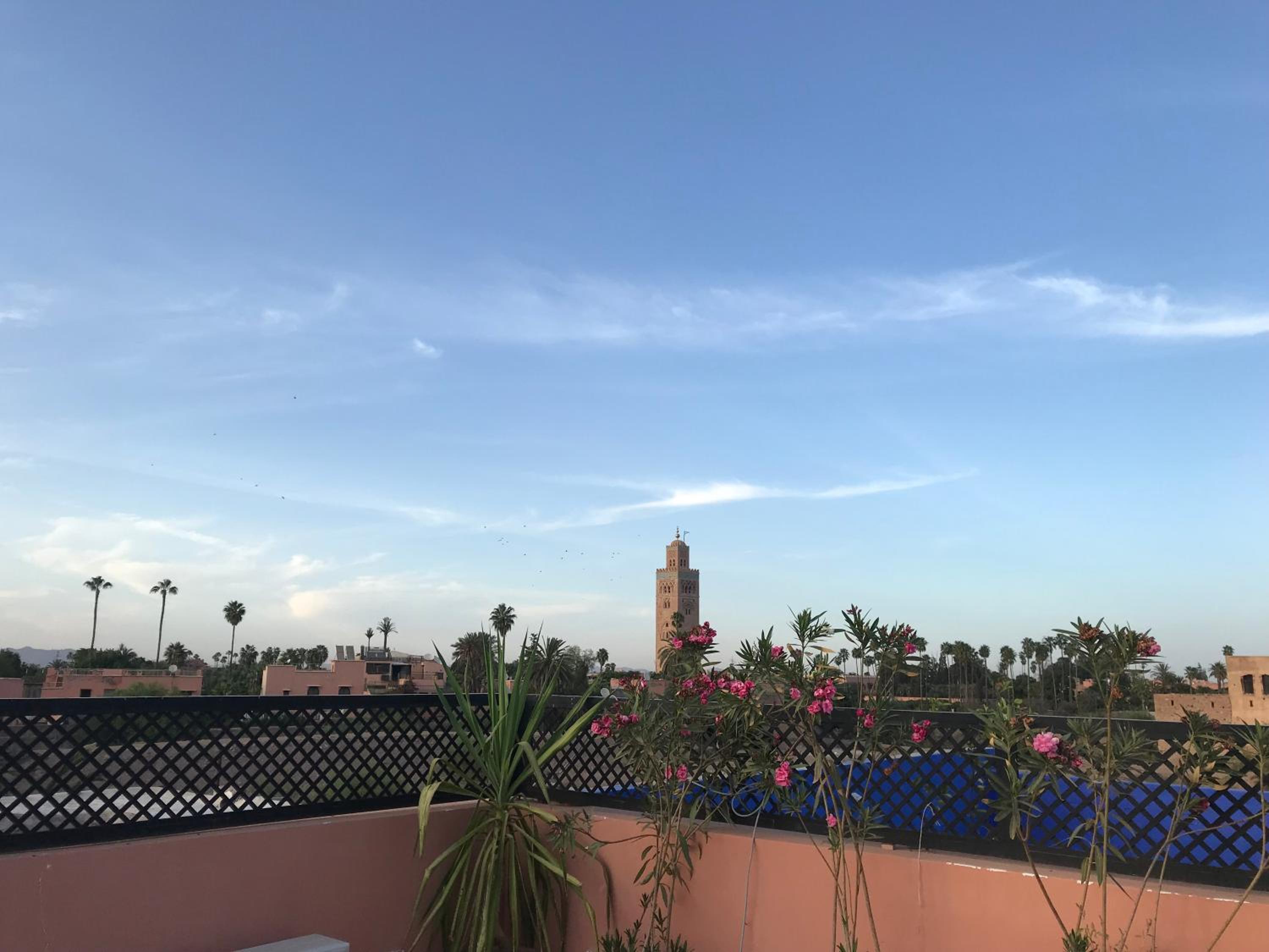 roof