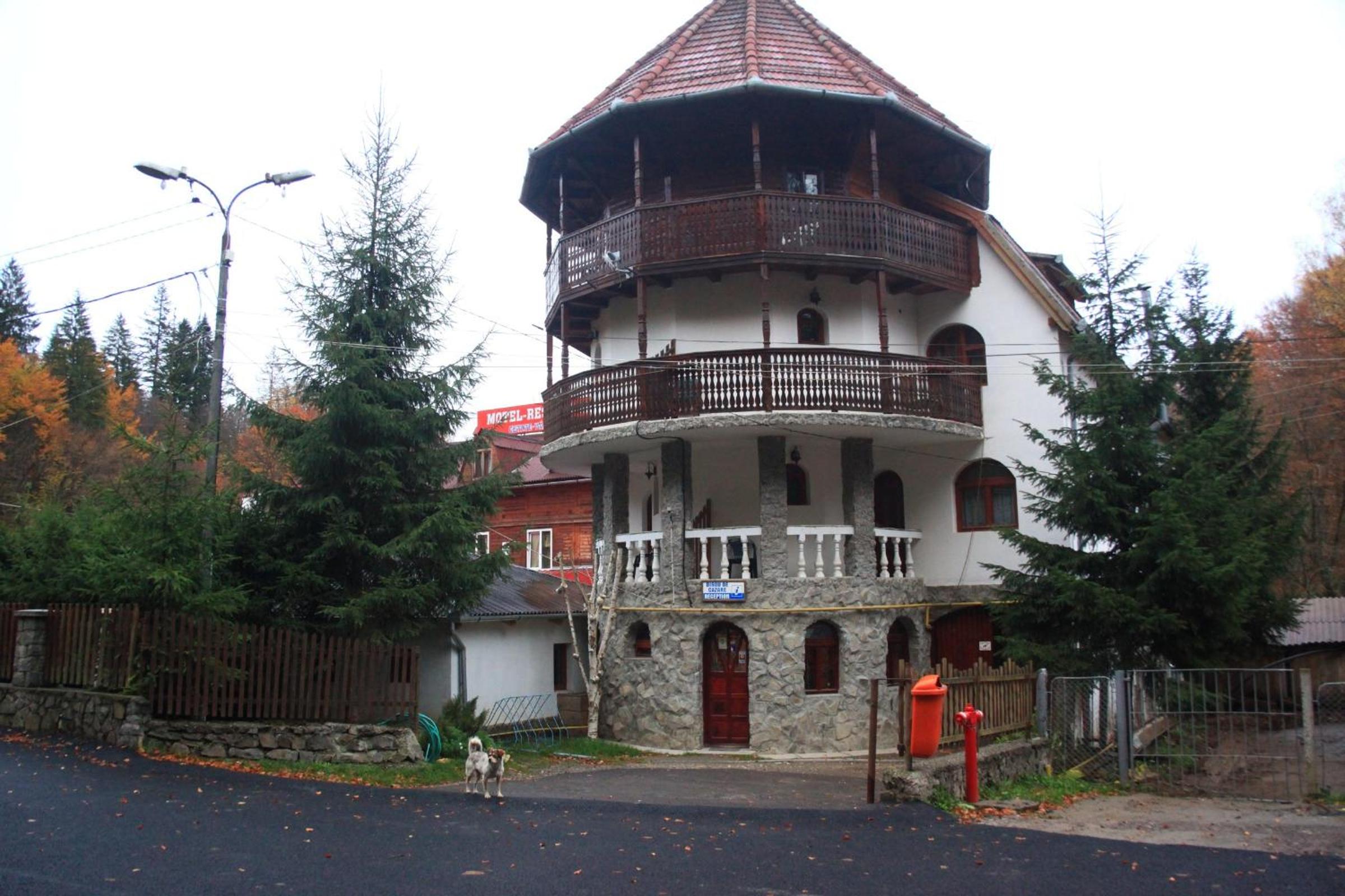 Pensiunea Cetate view 2