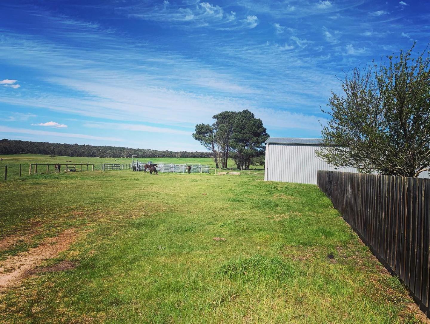 Chesterfarm and Stables
