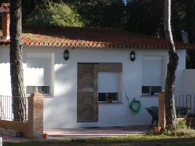 Photo 28
