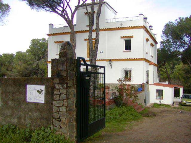 Photo 32