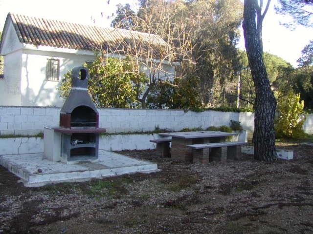 Photo 31
