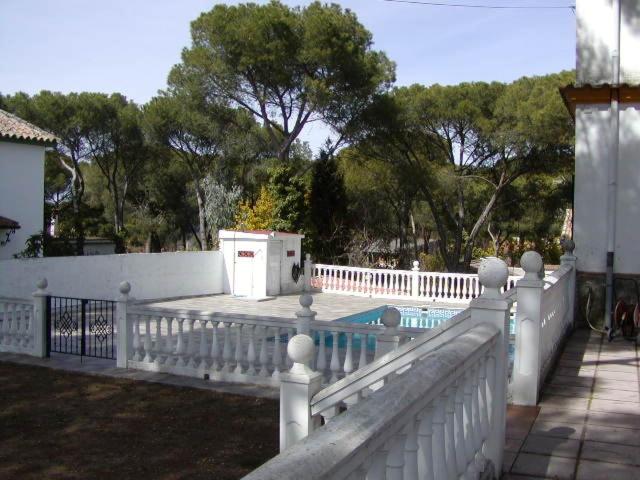 Photo 46