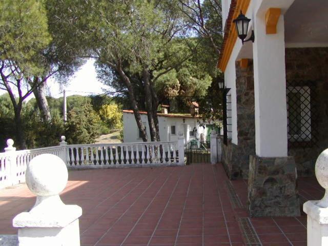 Photo 48