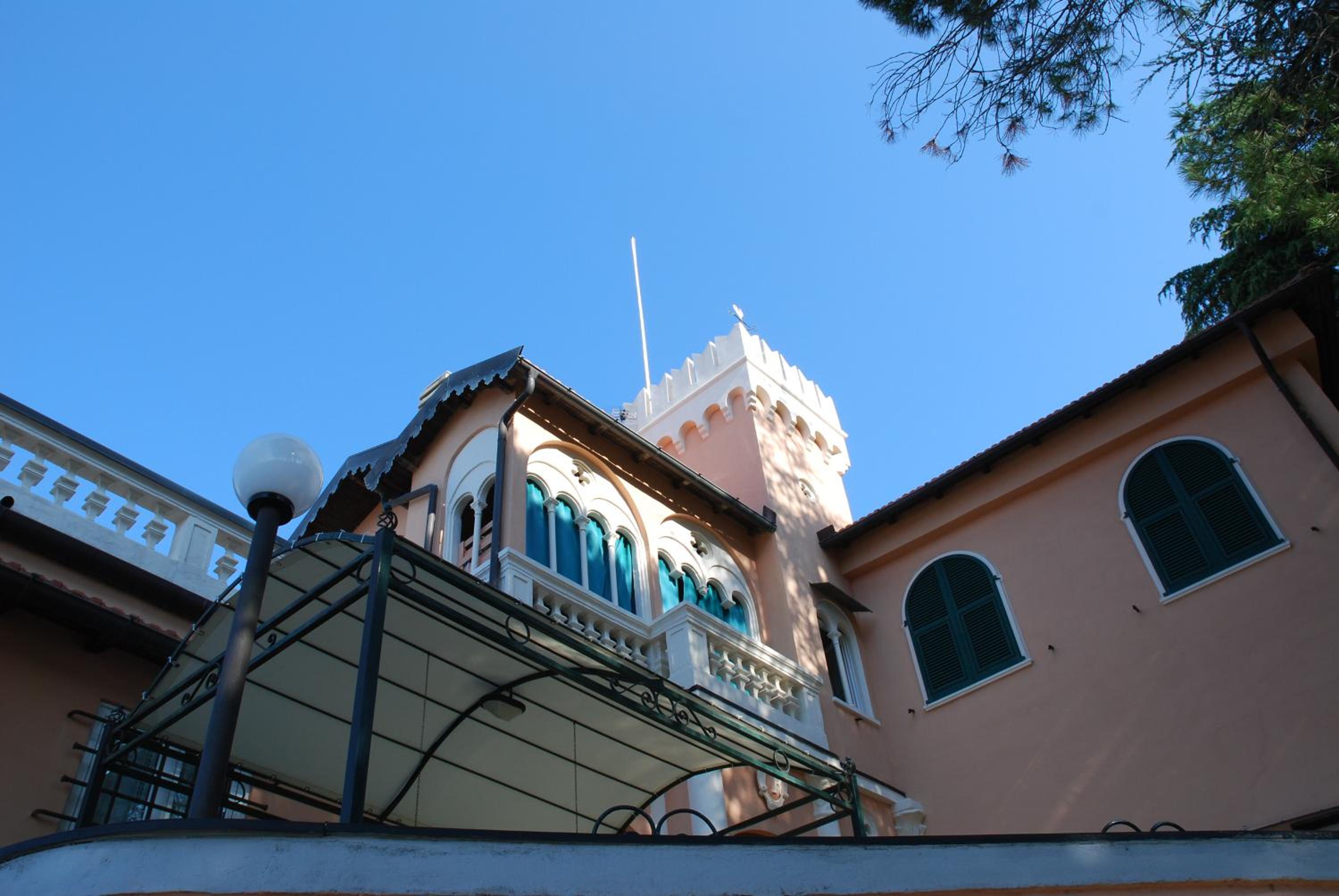 Photo 11