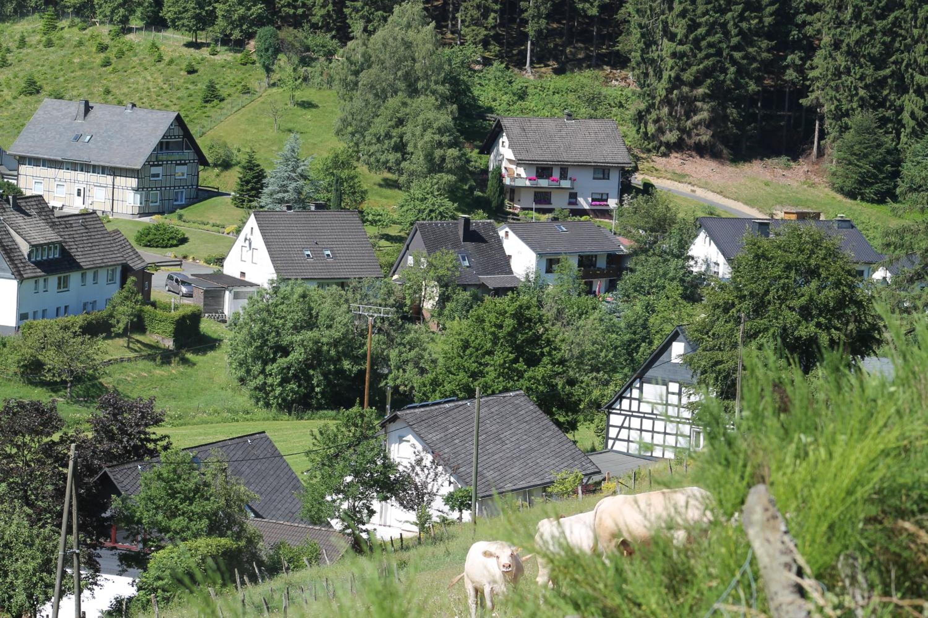 Holiday Home Rehsiepen view 4