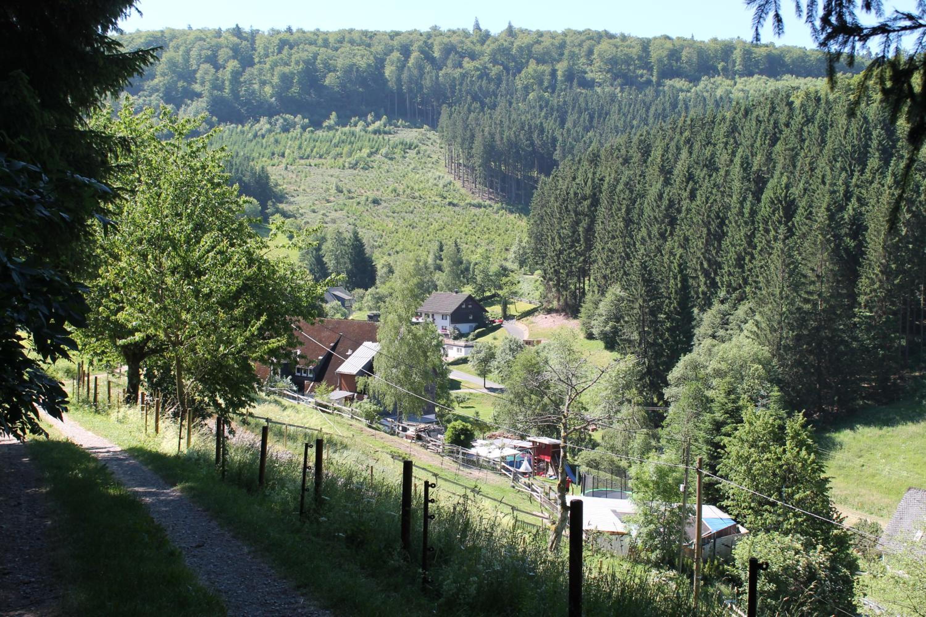 Photo 25