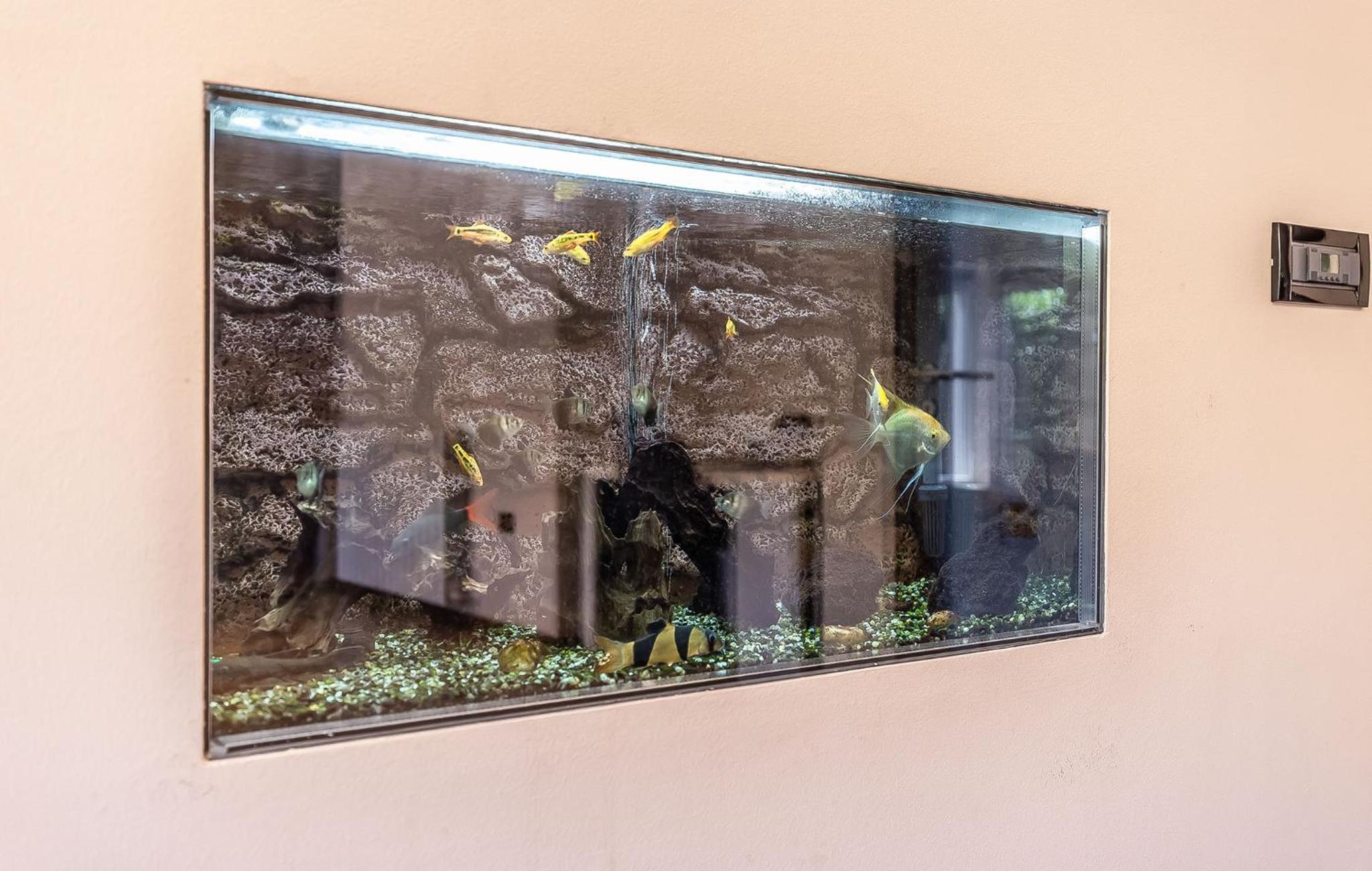 Toni  Julija - Property Image 13