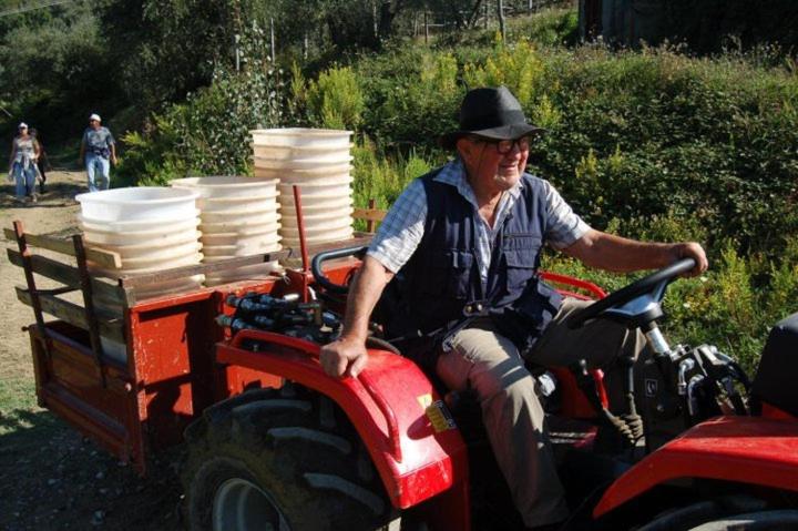 Fattoria di Fubbiano