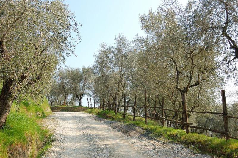 Fattoria di Fubbiano