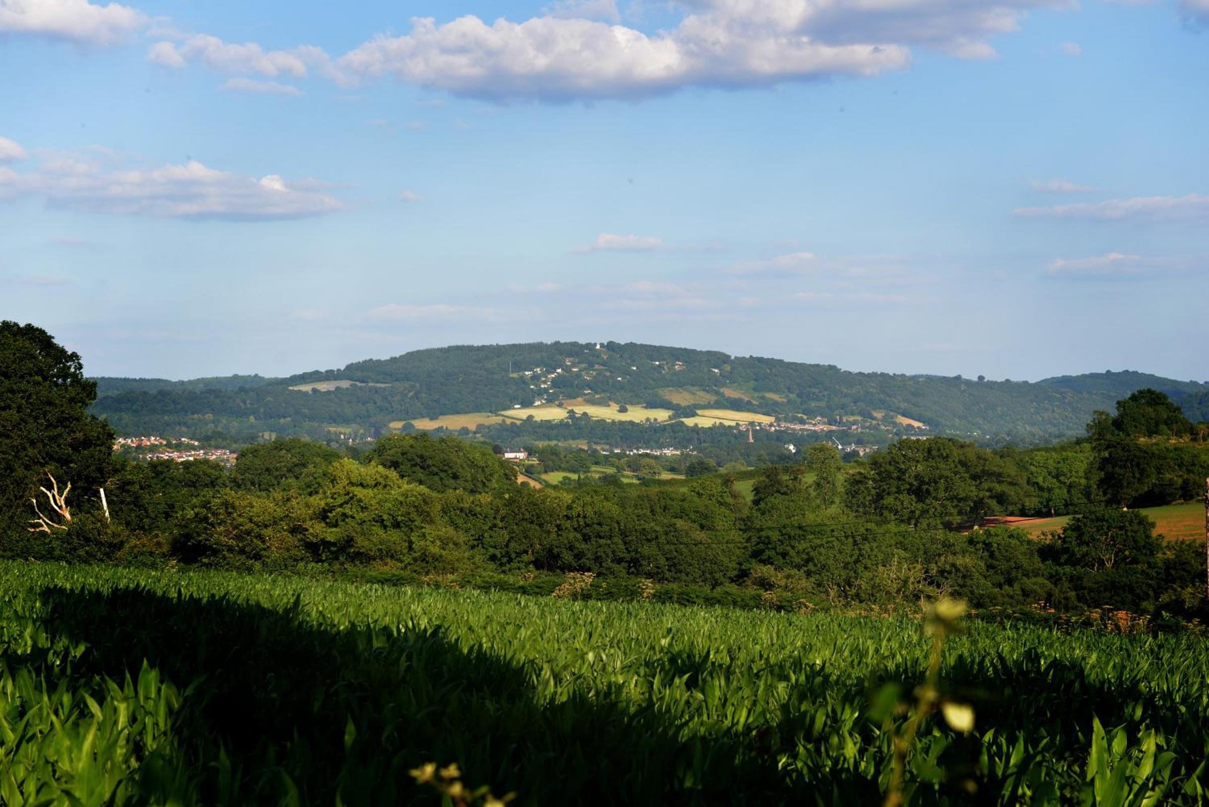 Steppes Farm Cottages view 2