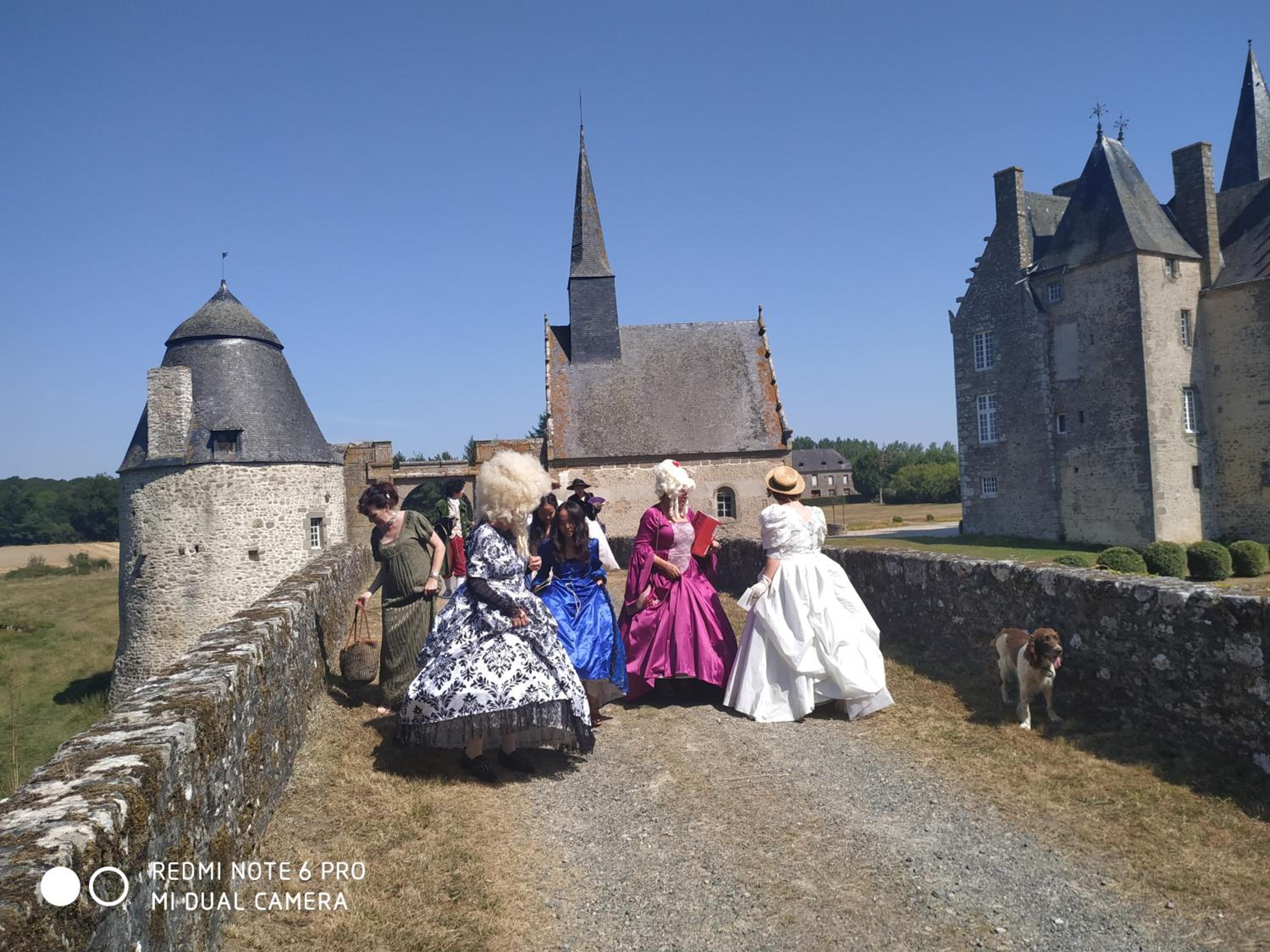 Chateau de Bourgon view 3