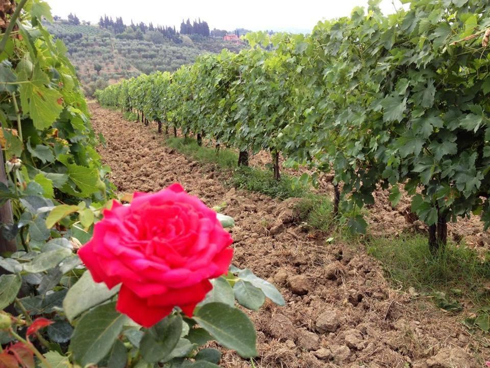 Fattoria di Fubbiano