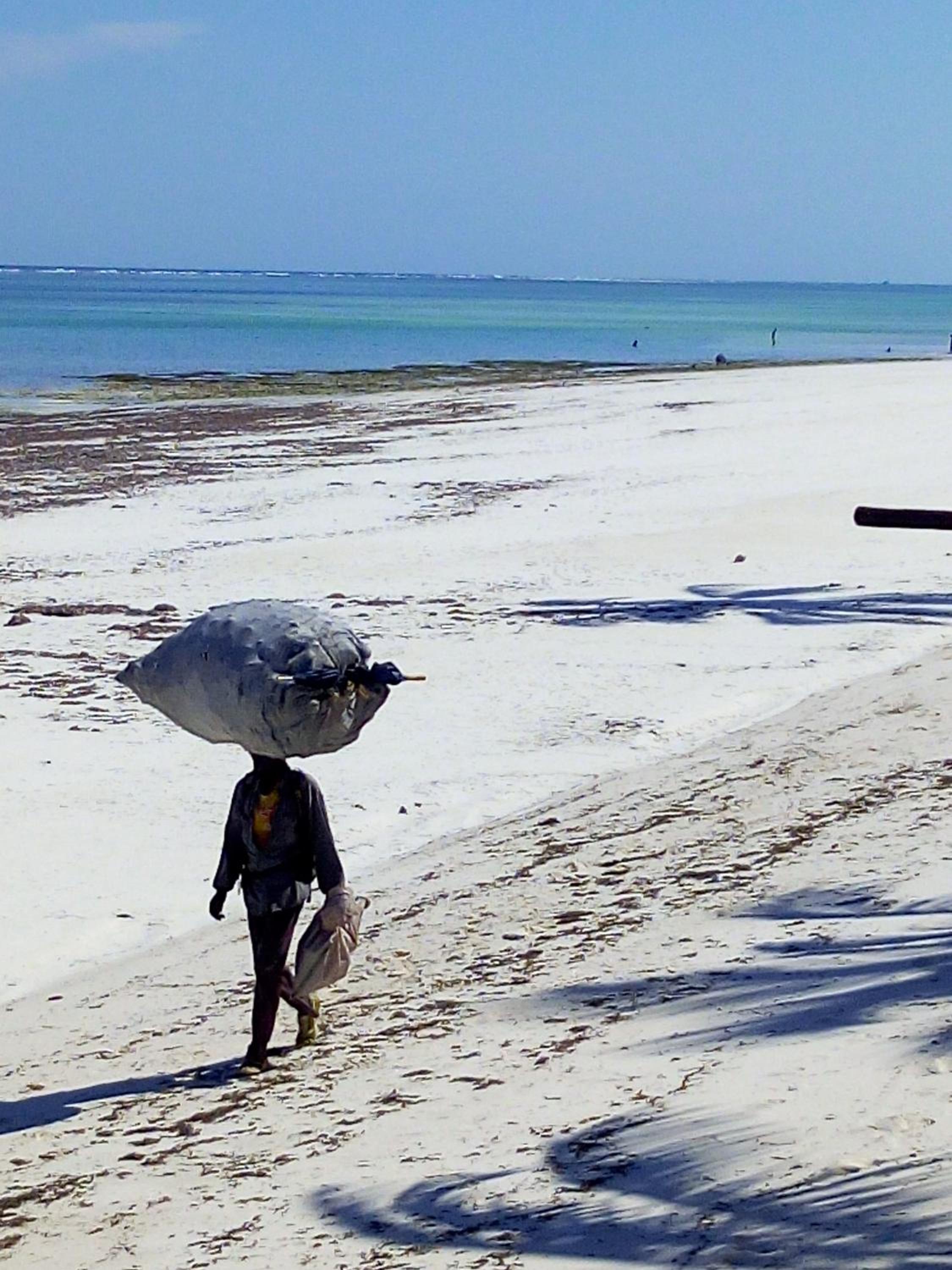 Aqua Resort, photo 90