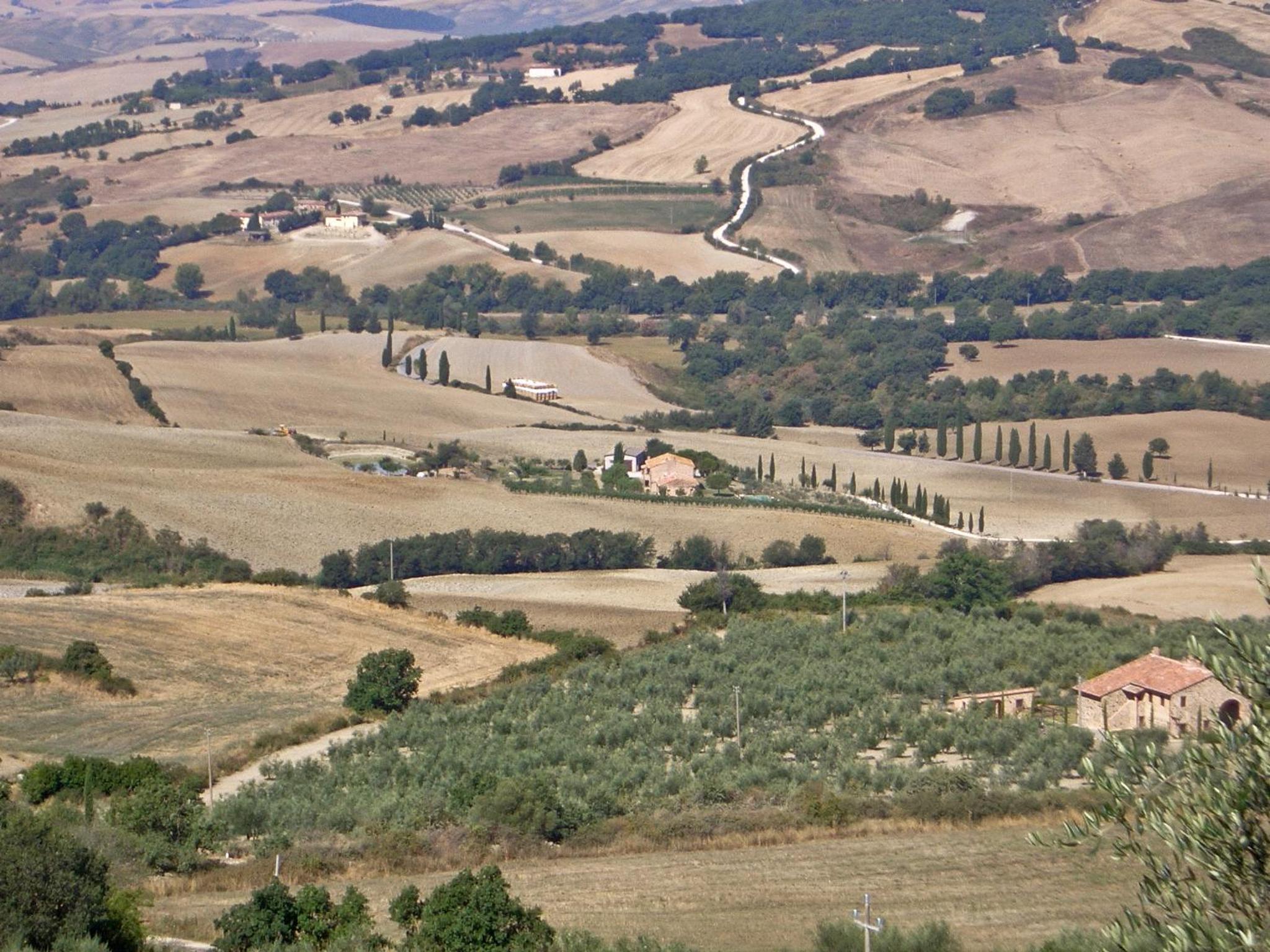 Photo 48