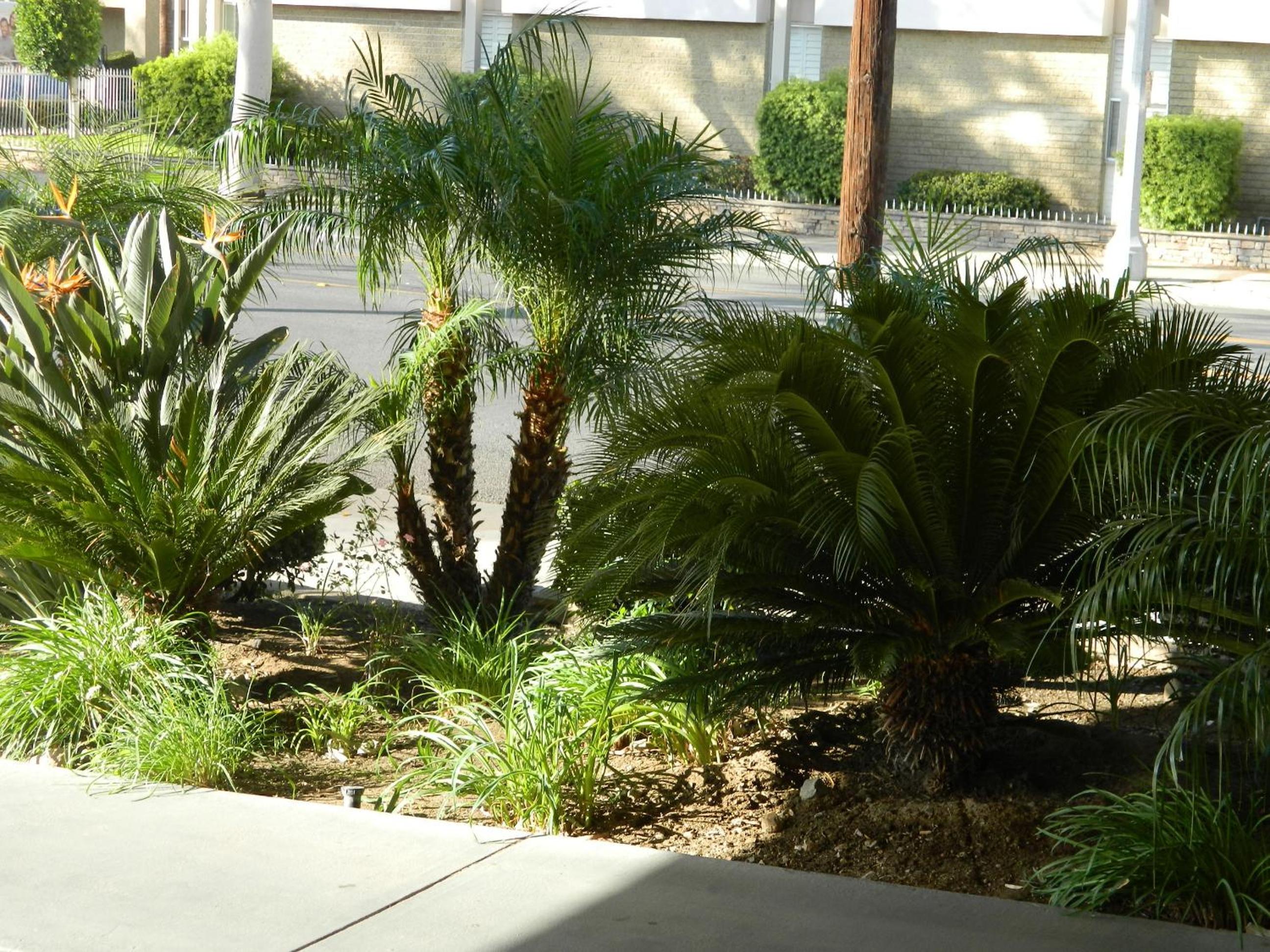 Corona Vacations - Welcome Inn Corona - Property Image 7