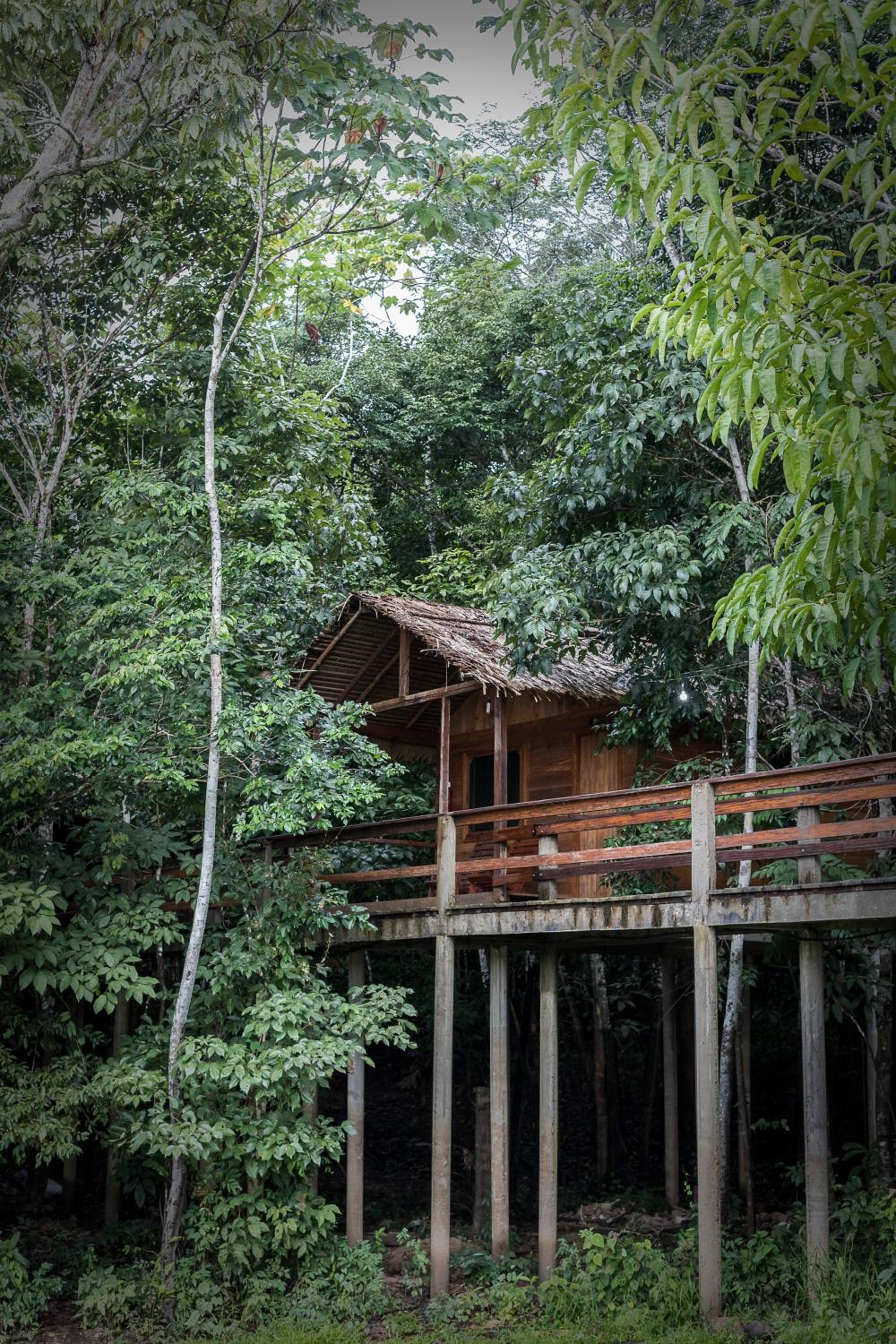 Dolphin Lodge