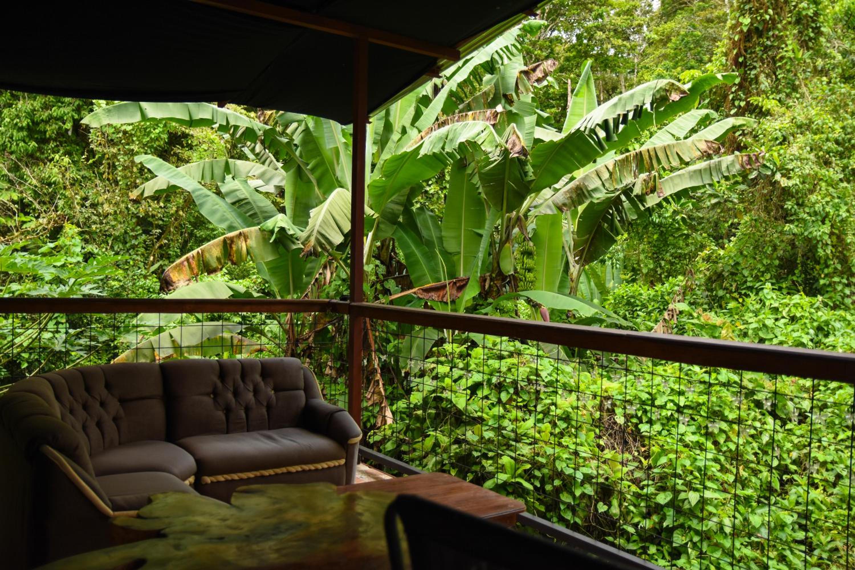 Chilamate Rainforest Eco Retreat
