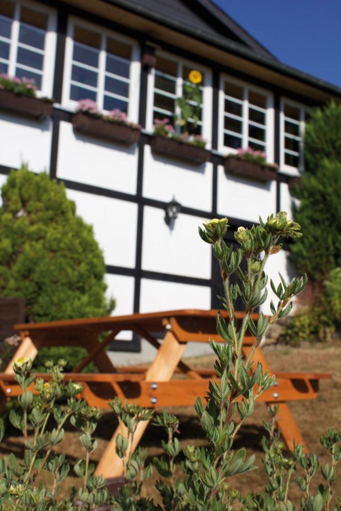 Wolfs Ferienhaus - Natürlich Eifel