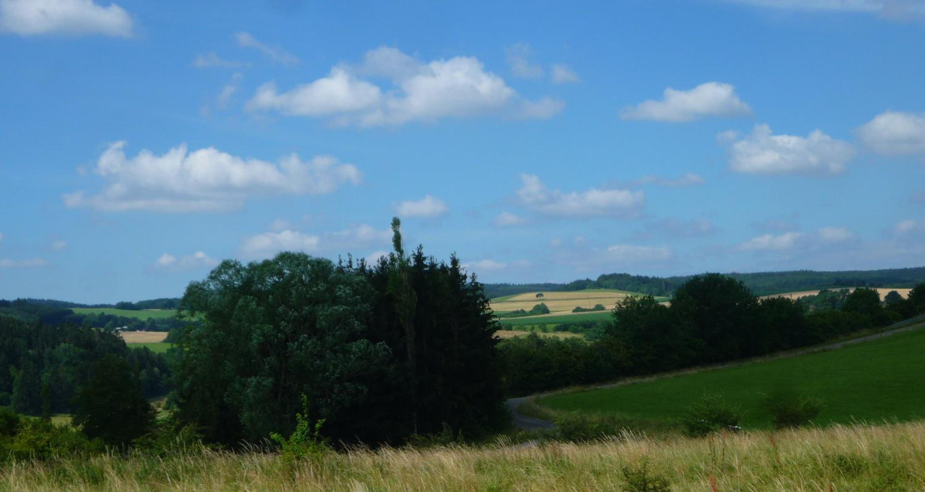 Wolfs Ferienhaus - Natürlich Eifel