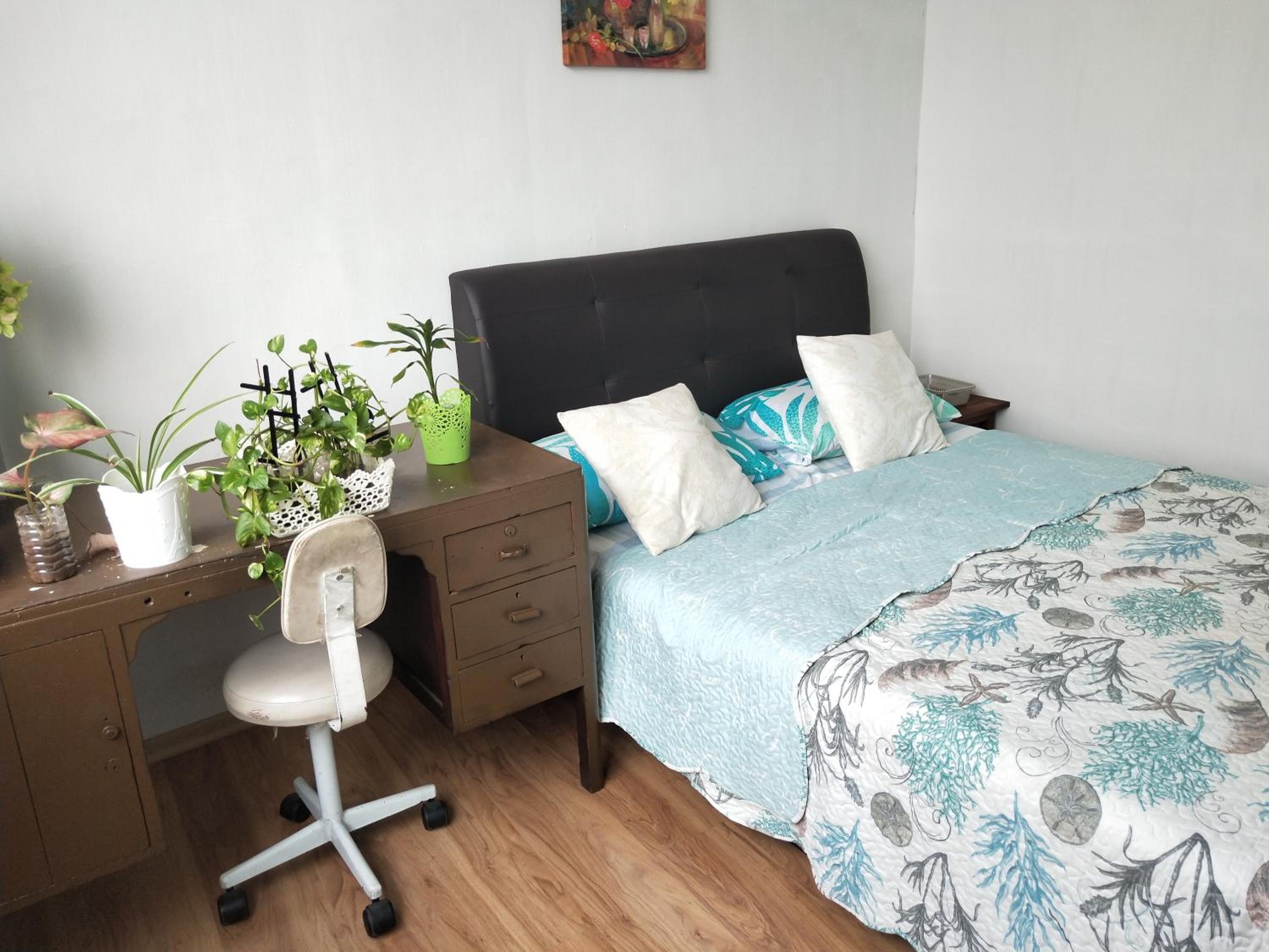 HOMESTAY 4U photo 8
