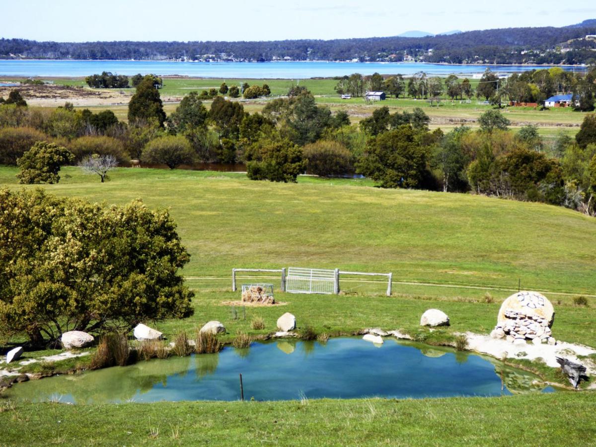 George River Park (House, 100 Acres, Animals, Views)