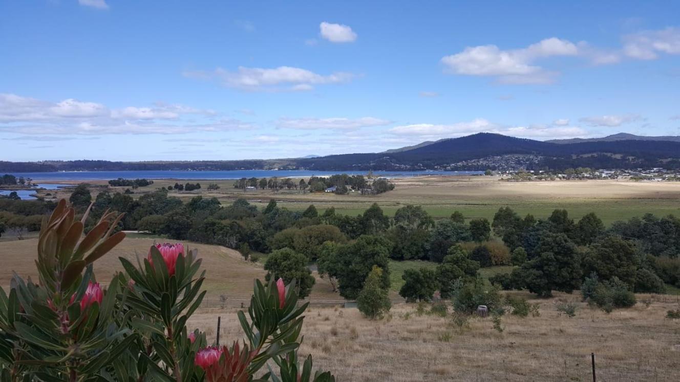 George River Park (House, 100 Acres, Animals, Views)