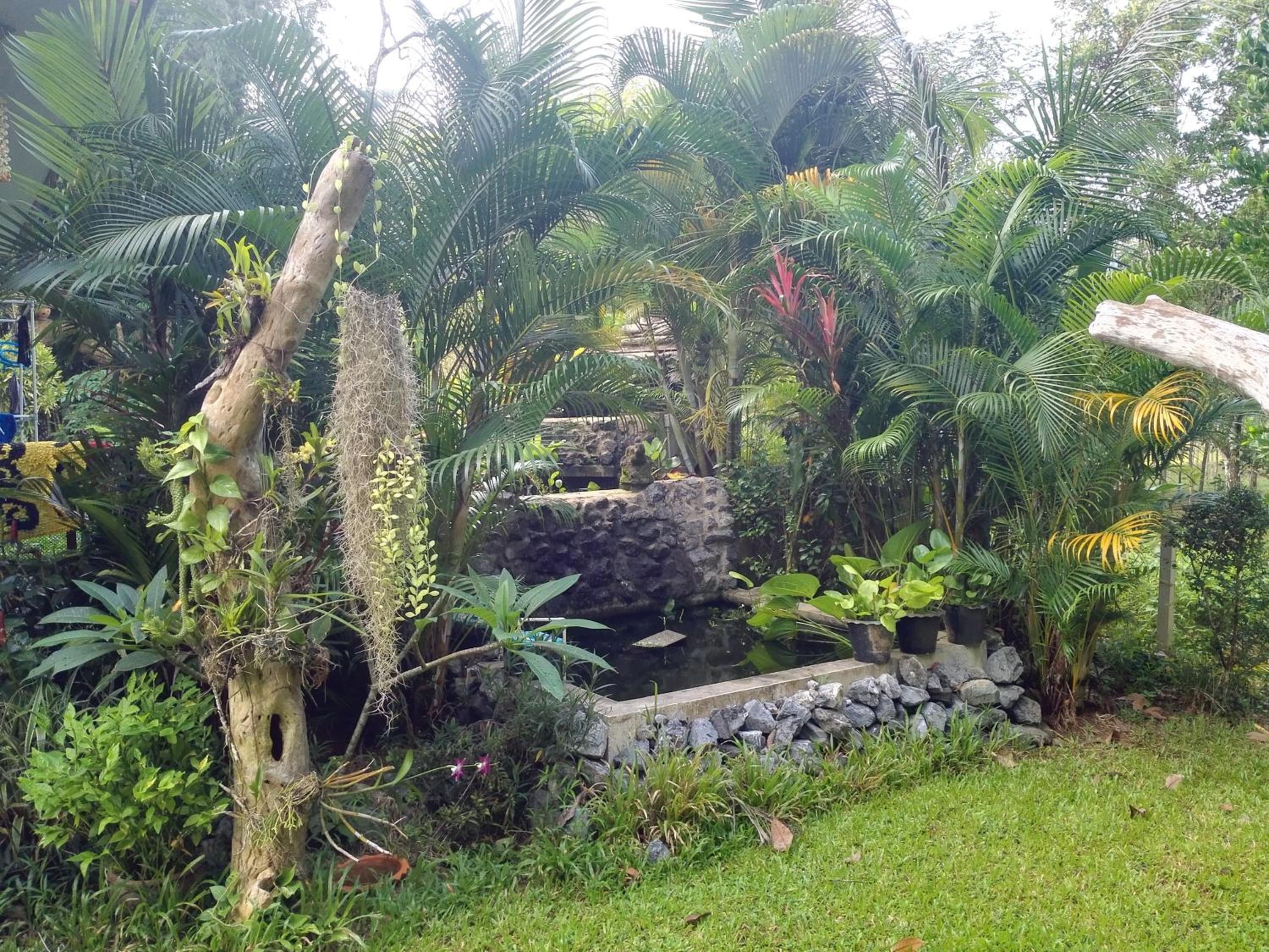 Nananuira Apartment and Room view 4