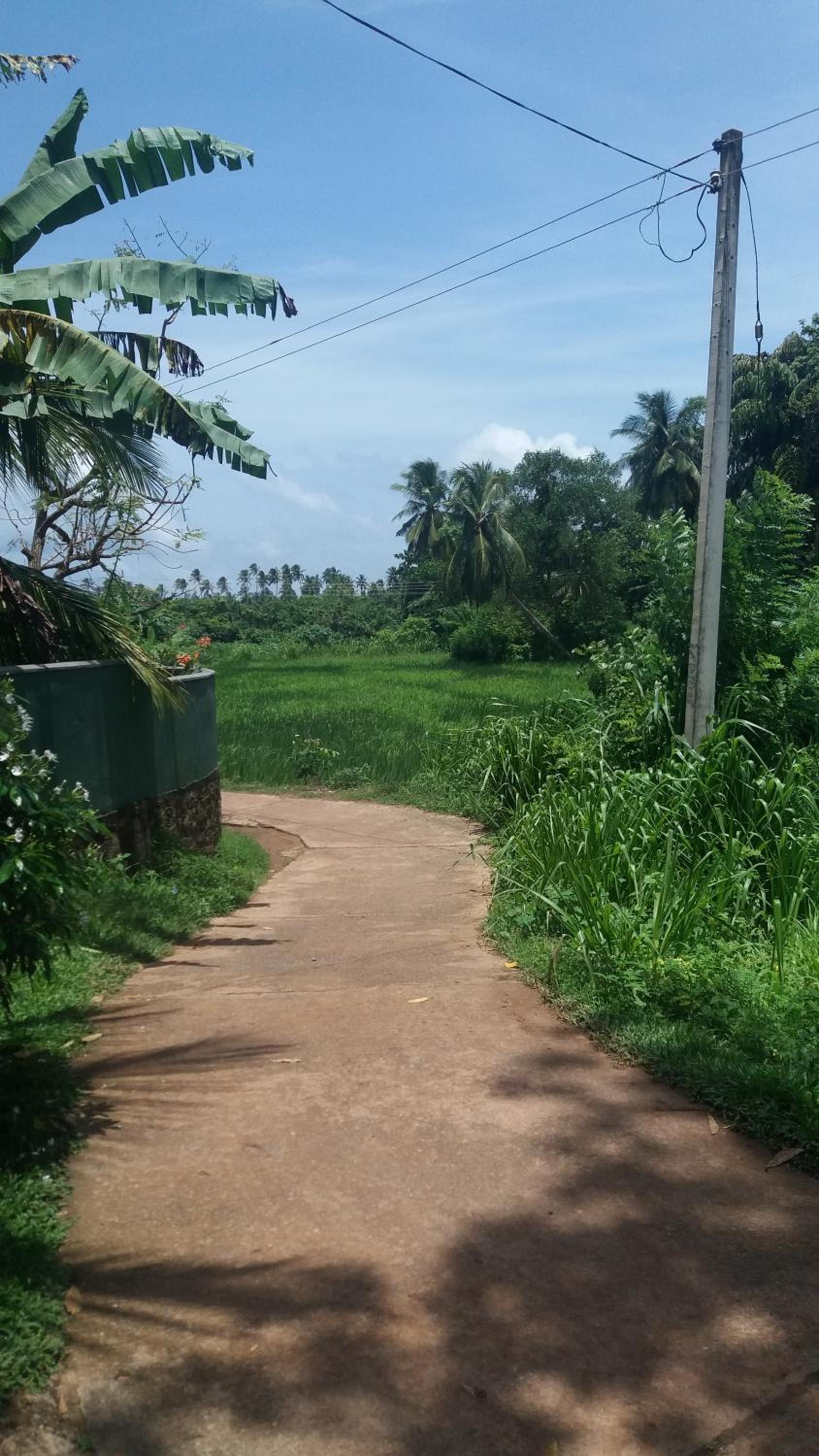PaddyView villa