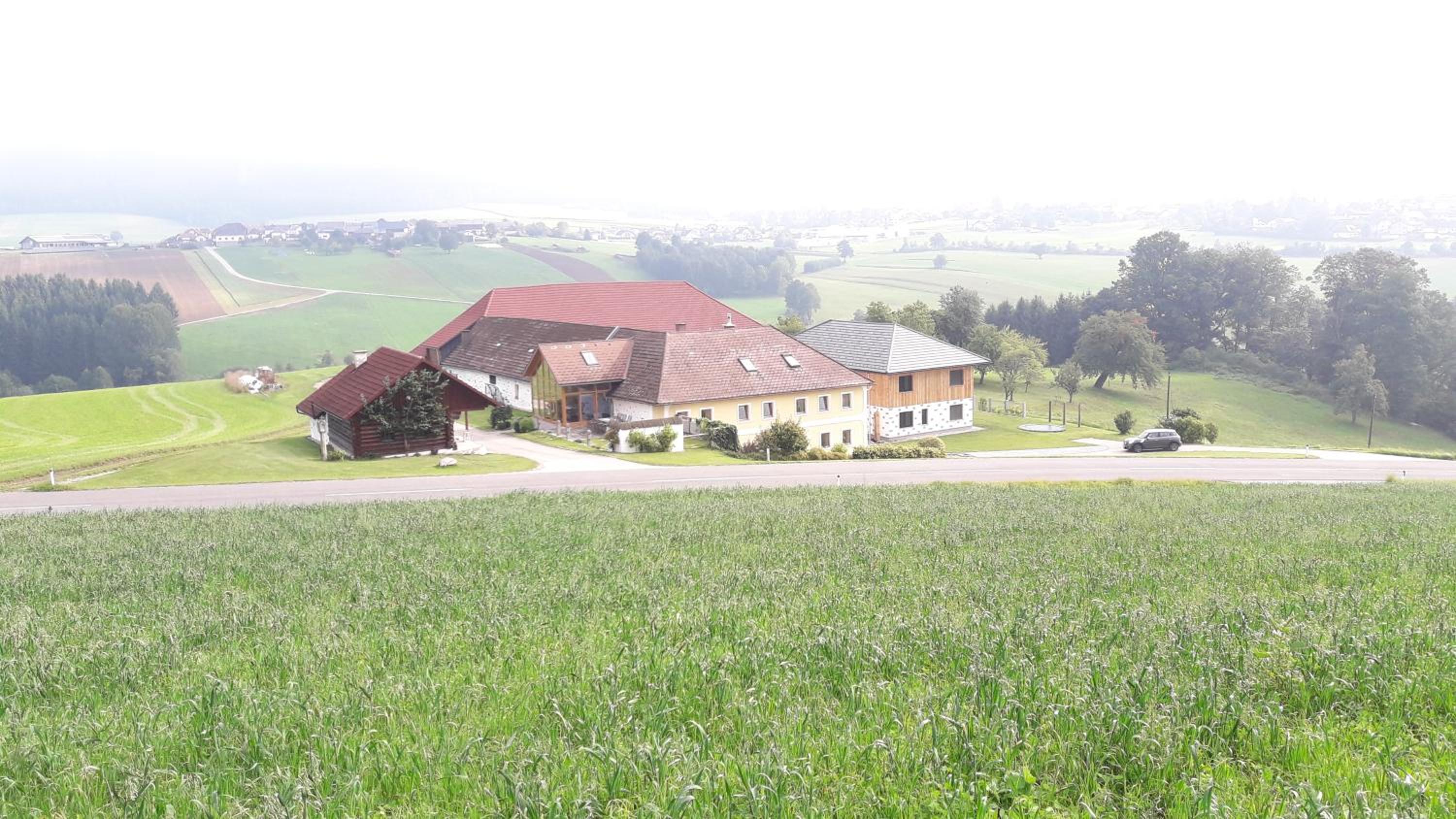 Ferienwohnung Haiberg