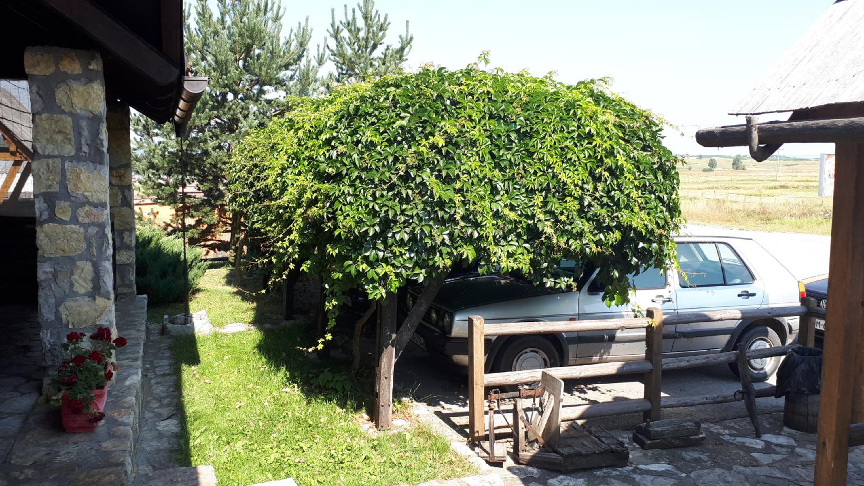 Konoba Ognjište