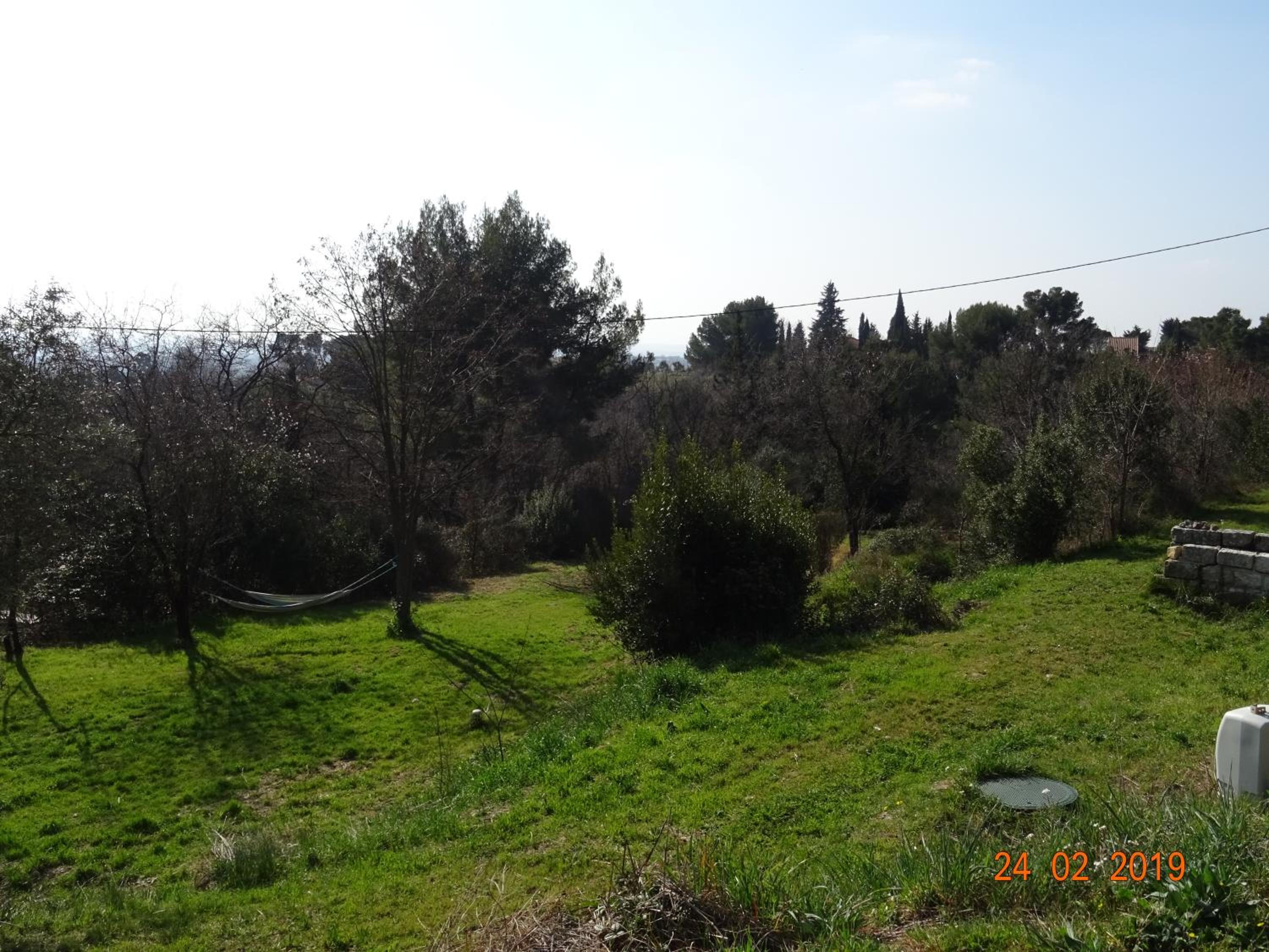 Photo 43