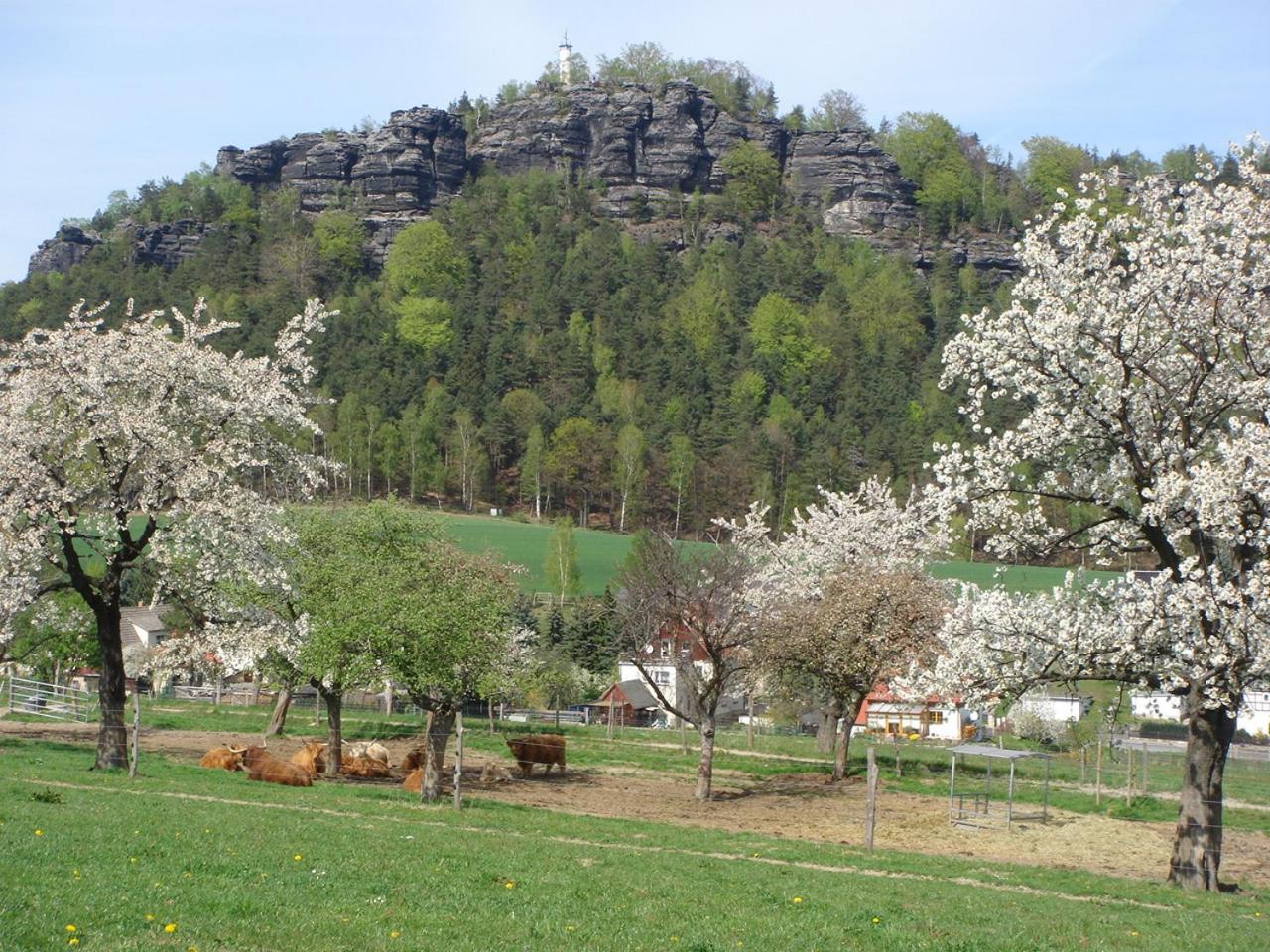 Alter Gutshof Papstdorf