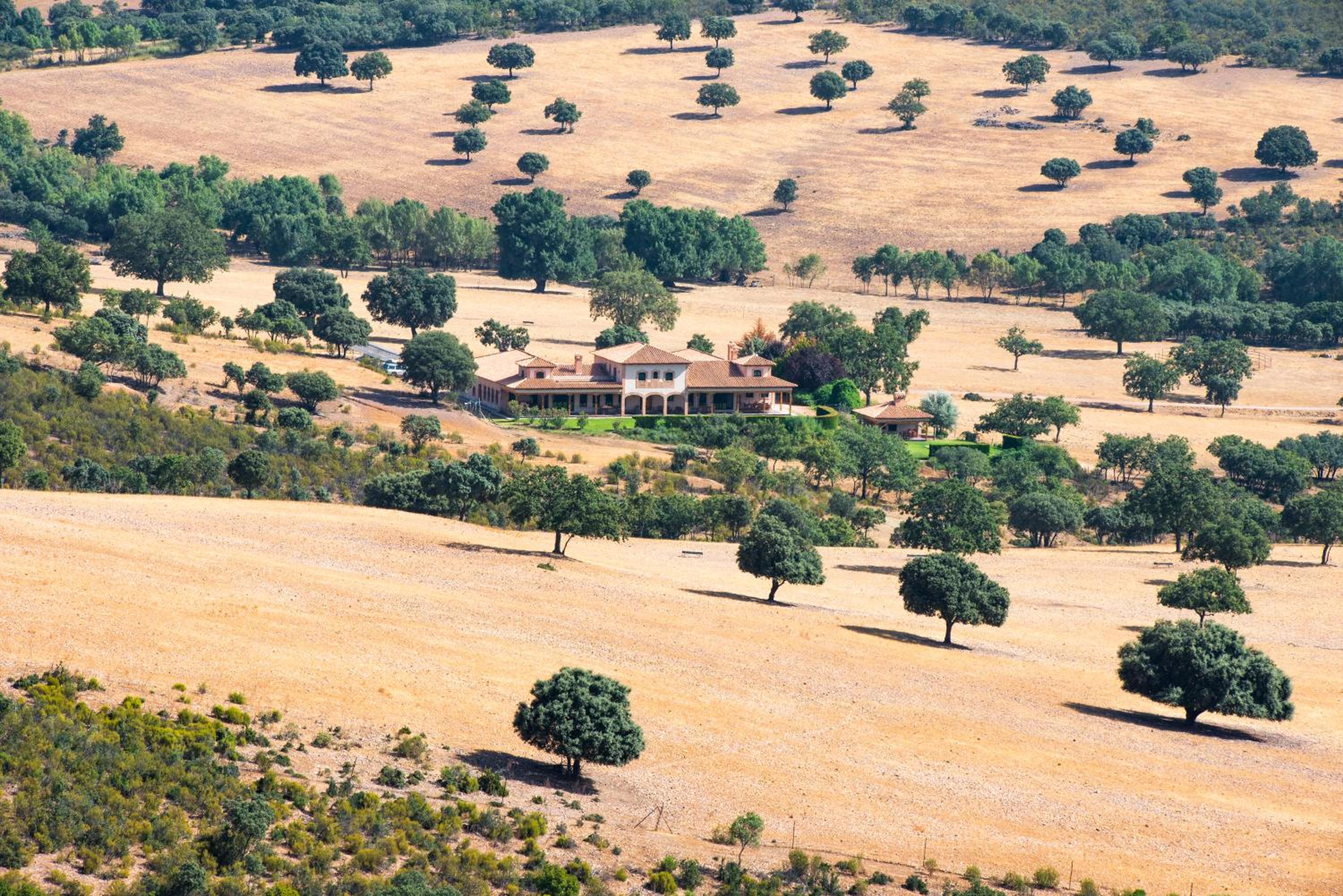 FINCA EL PIRUETANO