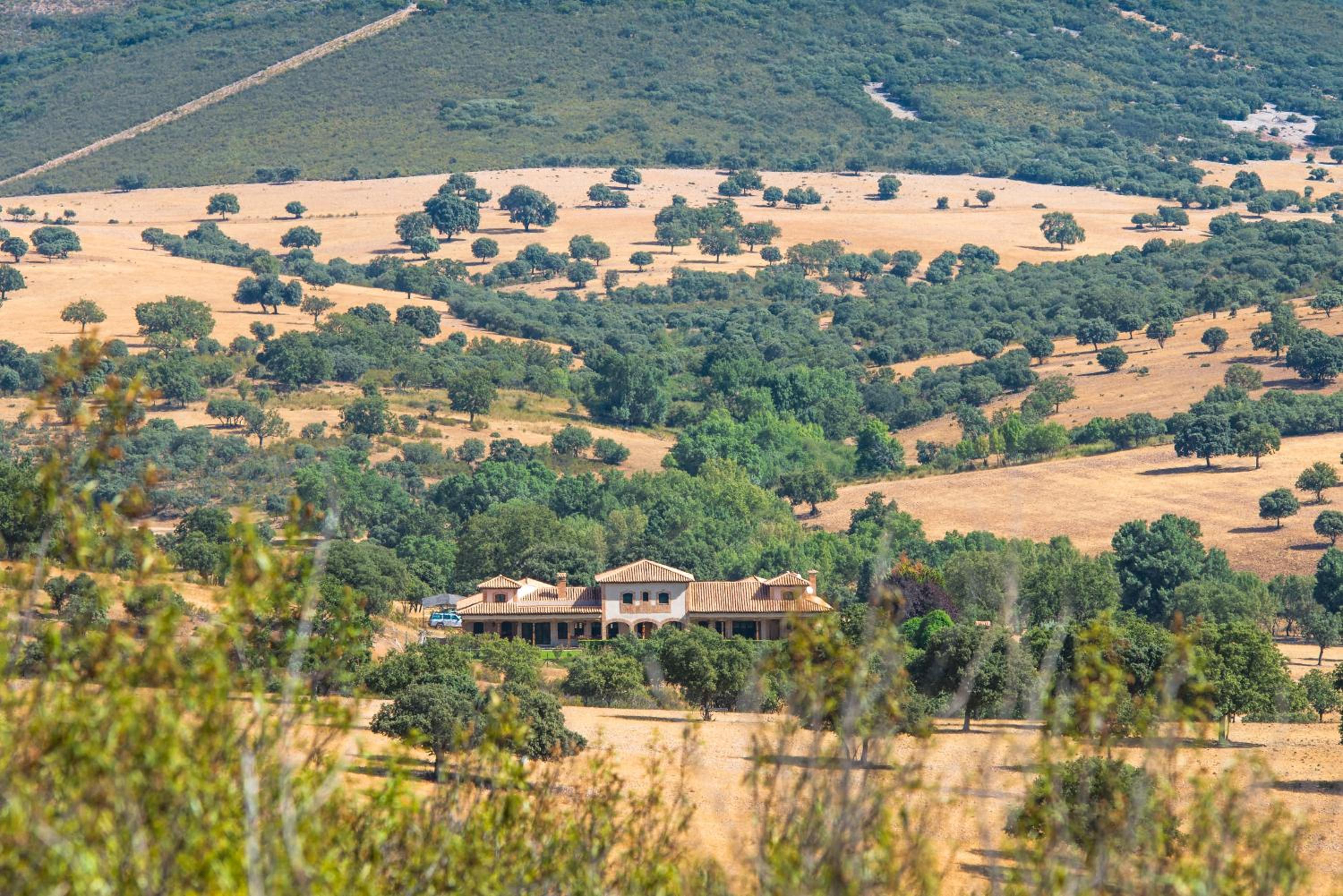 FINCA EL PIRUETANO