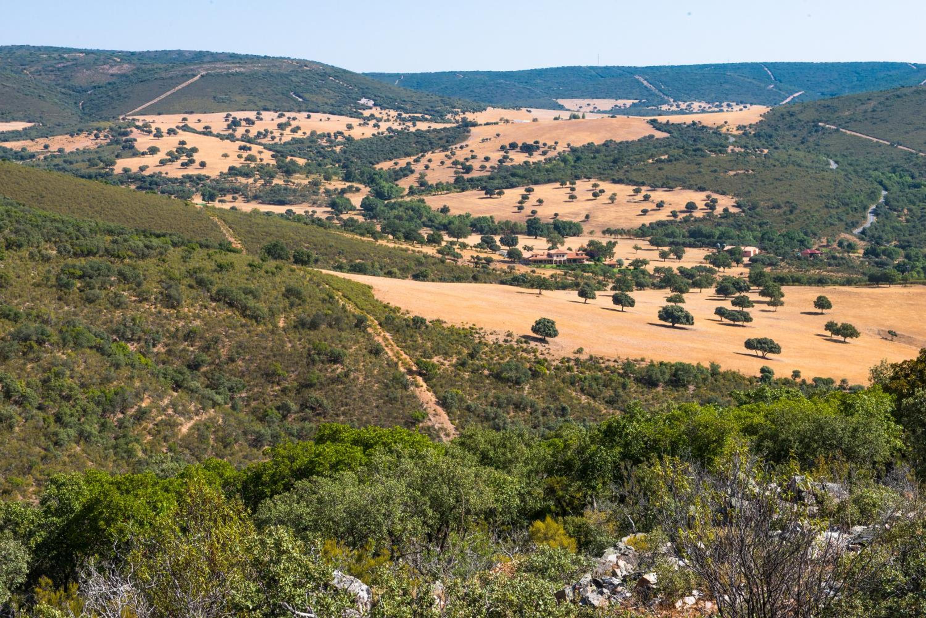 FINCA EL PIRUETANO
