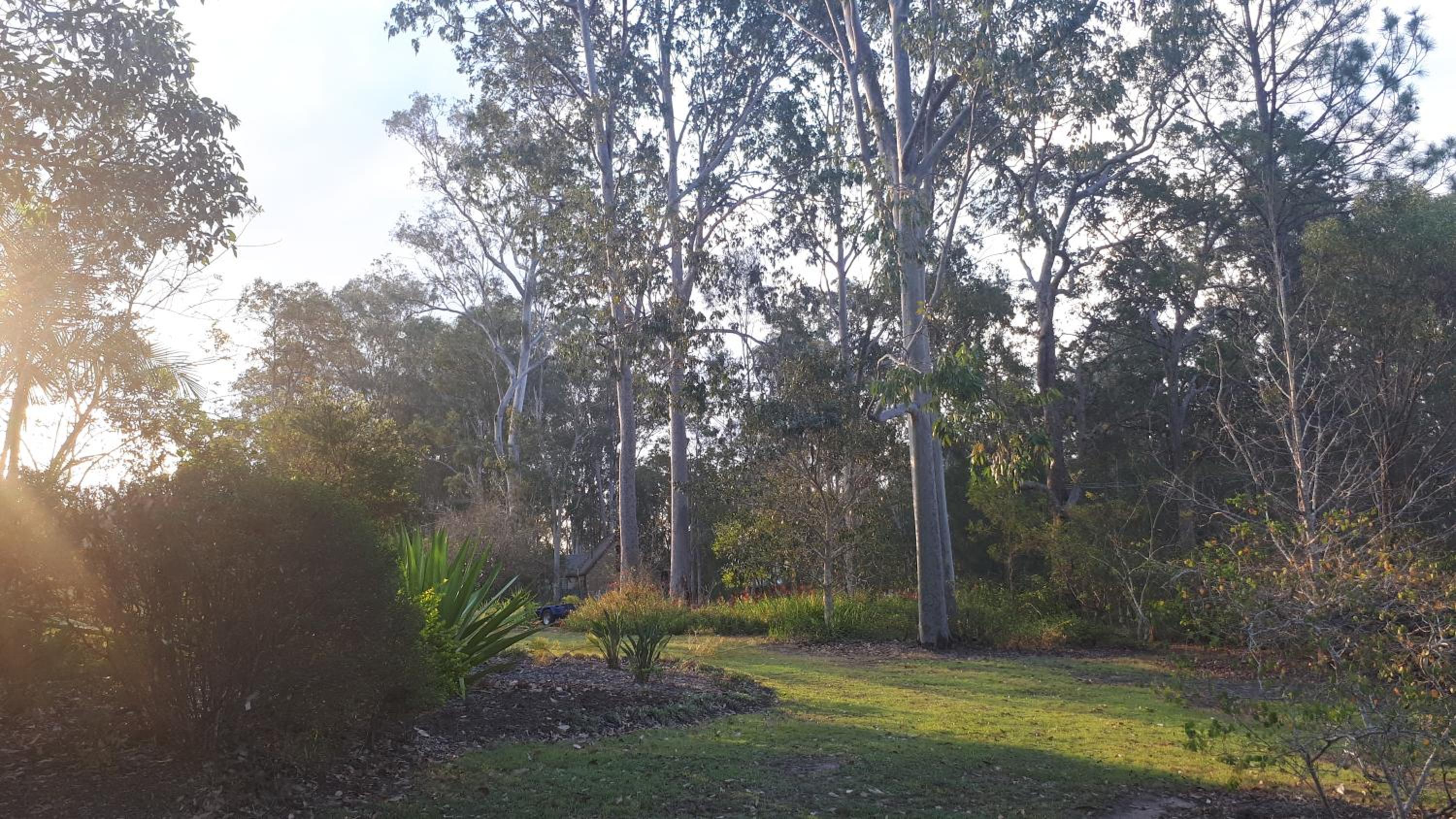 Charming country house close to Grafton