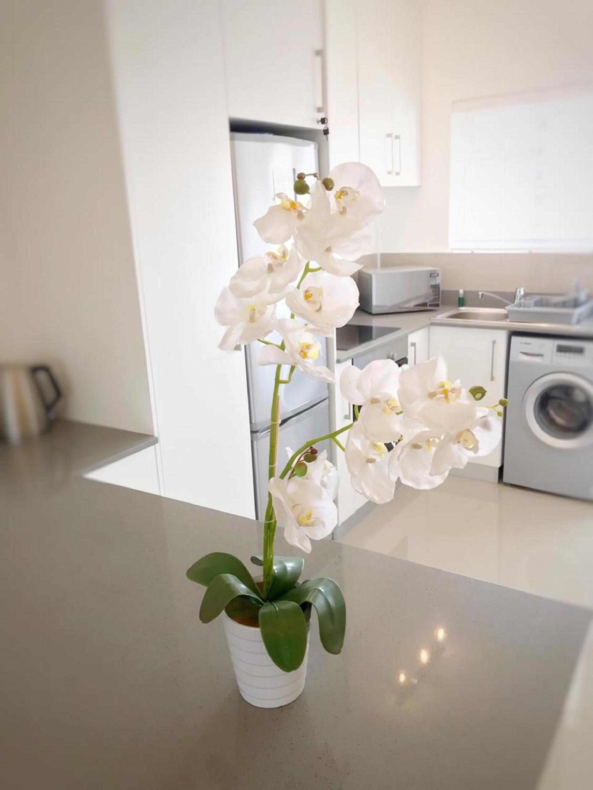 Green Point 1BR AC Netflix Walk to VA by CTHA view 4