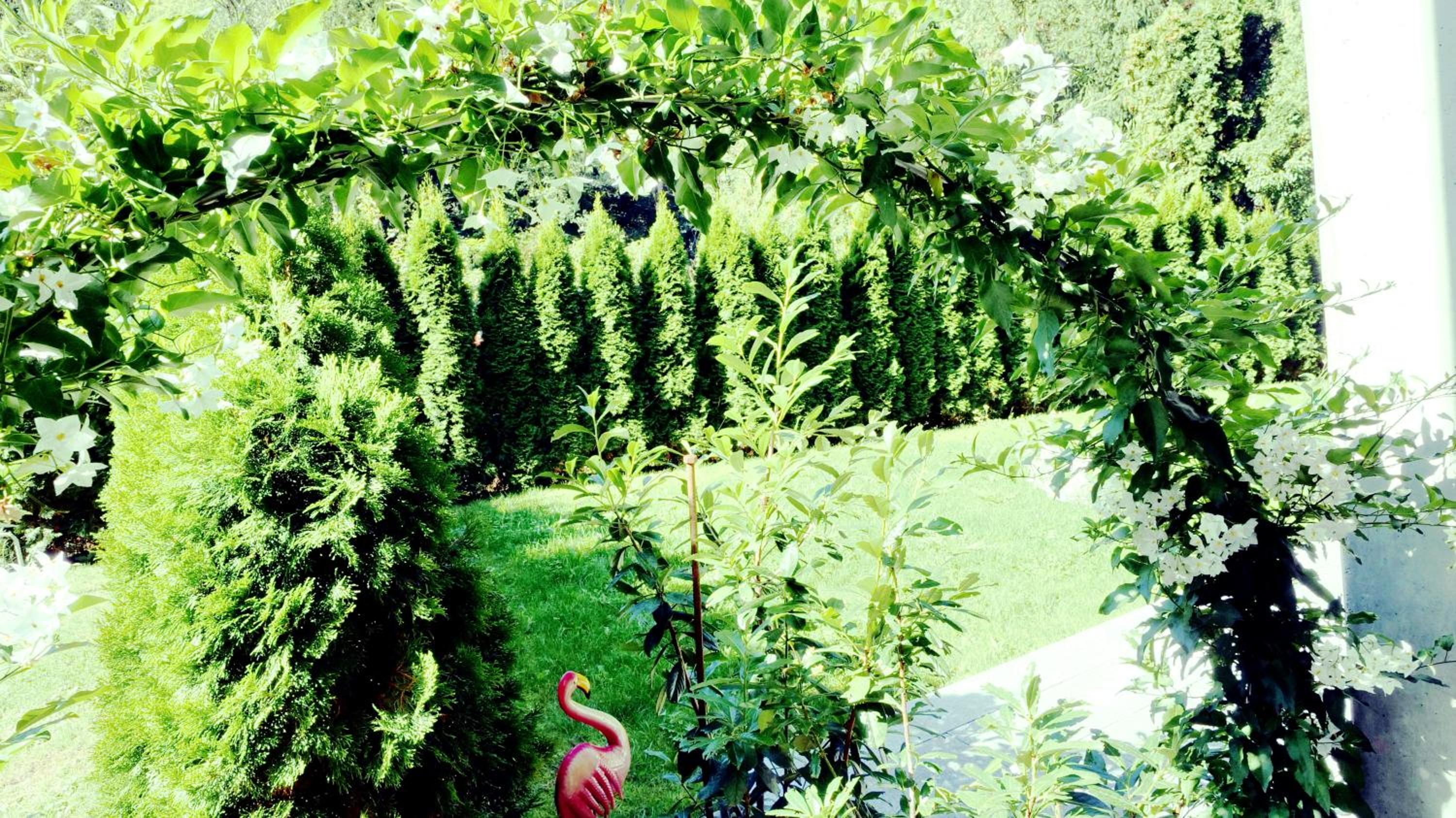 Flamind Holiday Apartments mit Garten und Grill