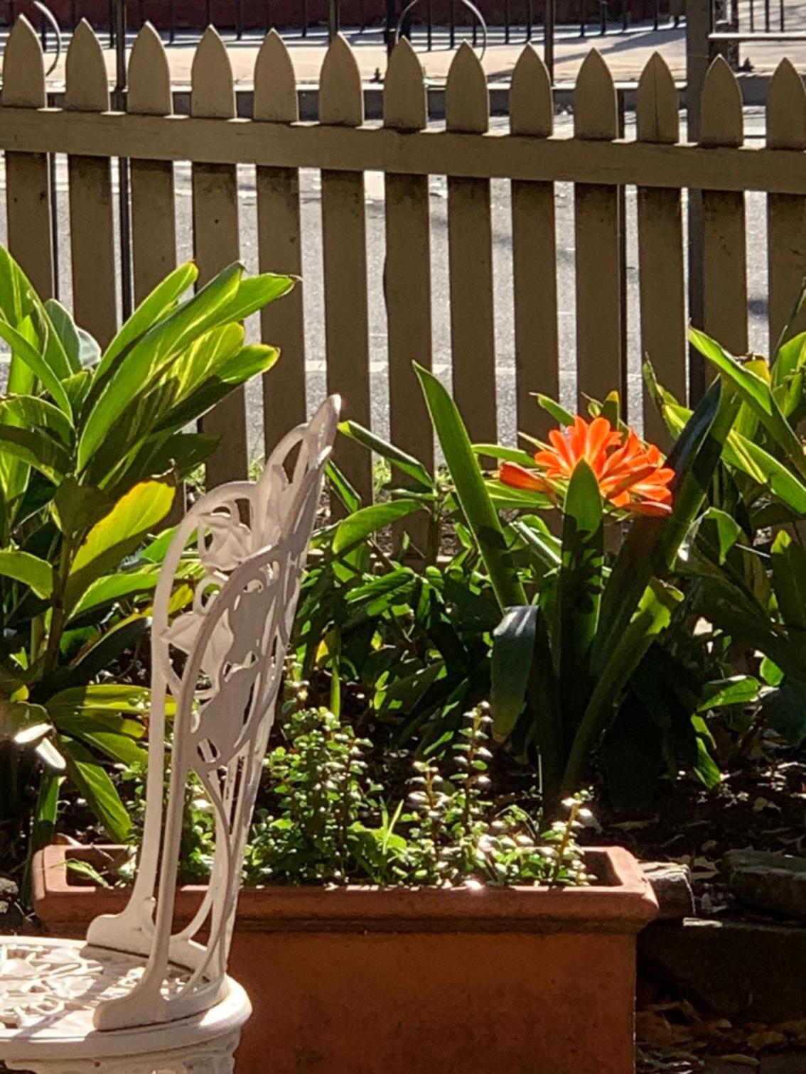Burwood Bed and Breakfast